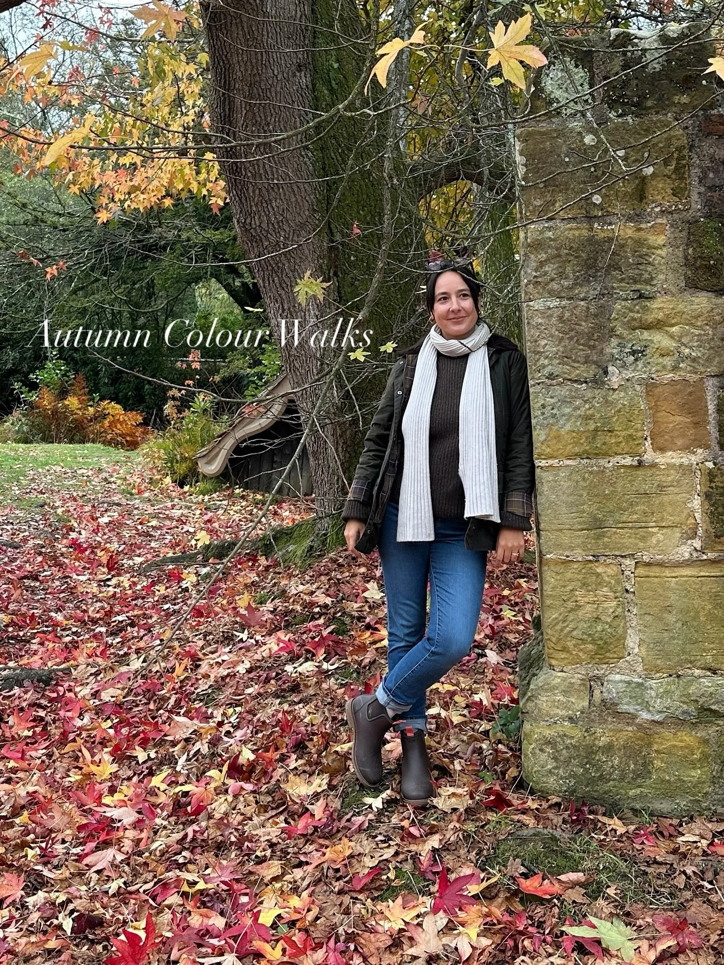 not ready for the trees to let go of their orange glow but trusting nature&rsquo;s timing is always teaching us something. I read somewhere that &ldquo;orange is the colour of joy and creativity&hellip;and promotes a sense of general wellness&rdquo; 