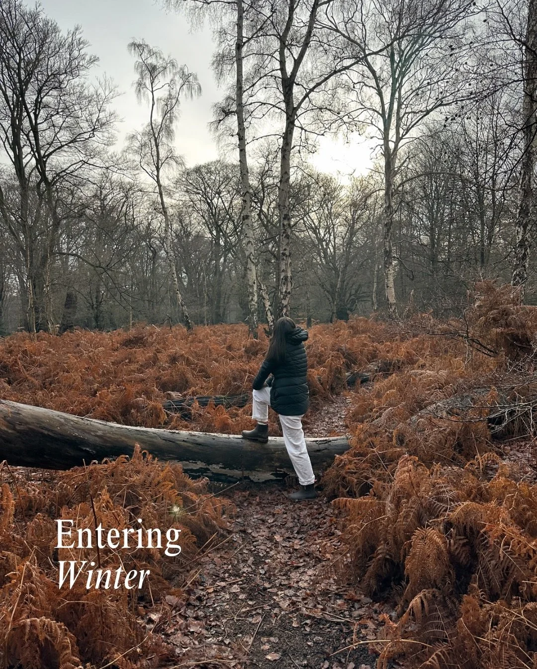 Entering the slower pace of winter 🤎
Each season nurtures us in its own way. For me, it looks like quiet, reflective walks and permission to let ideas arrive without needing to act on them.