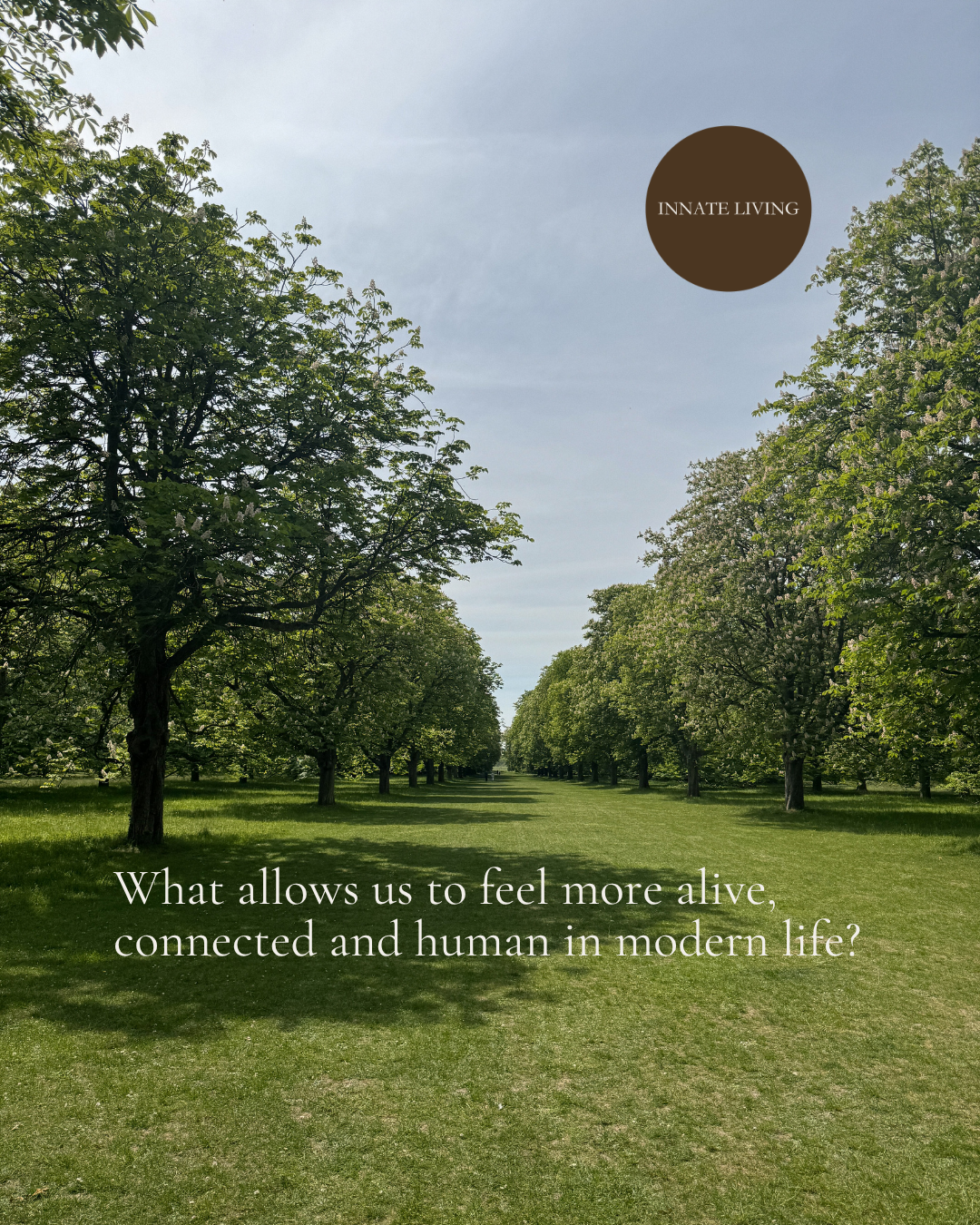 A peaceful tree-lined countryside space. A clip from 'INNATE LIVING.' Below, a quote reads: 'What allows us to feel more alive, connected and human in modern life?'