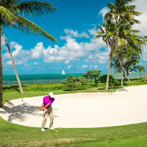 anahita golf square.jpg