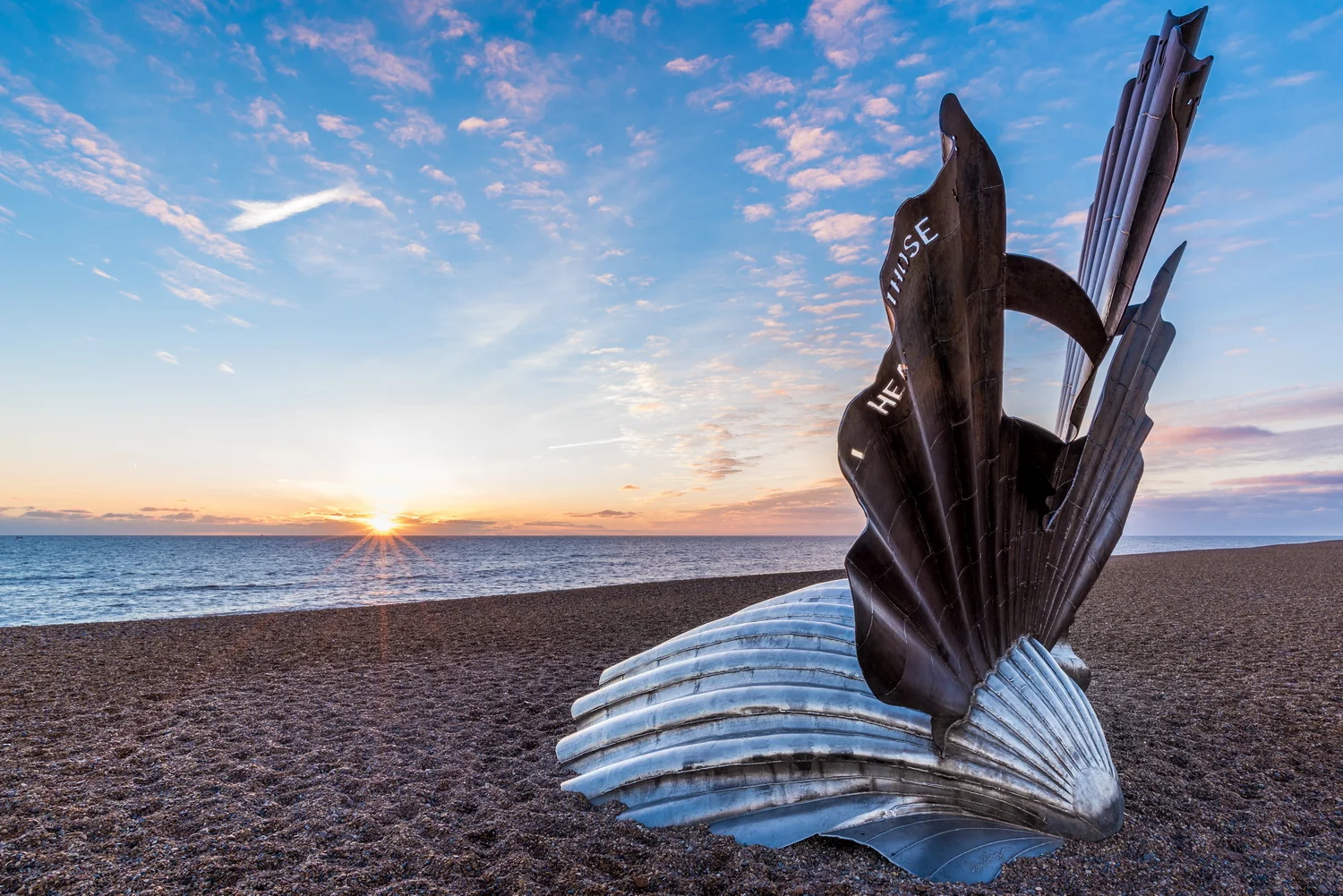 The Sun And The Shell