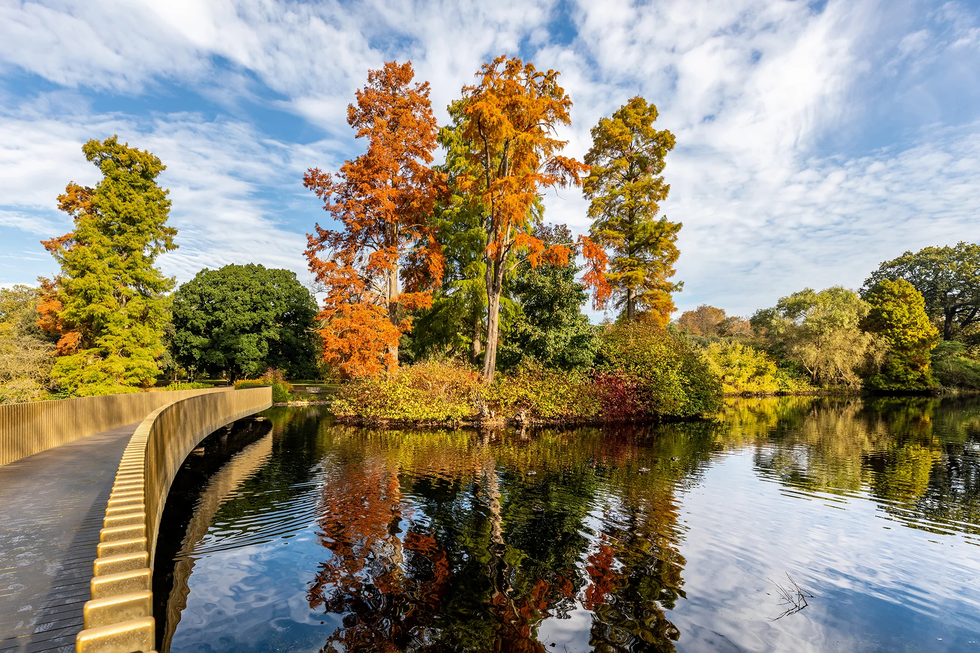 Autumn Reflections