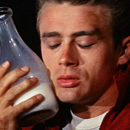 giphy (2).gif