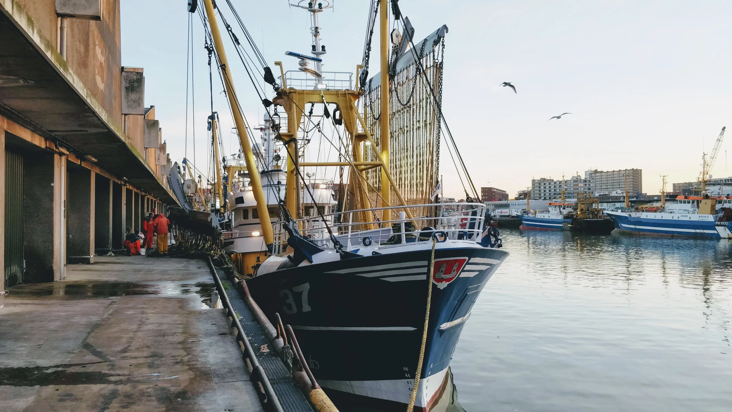 The GO 37 ‘Eben Haezer’
