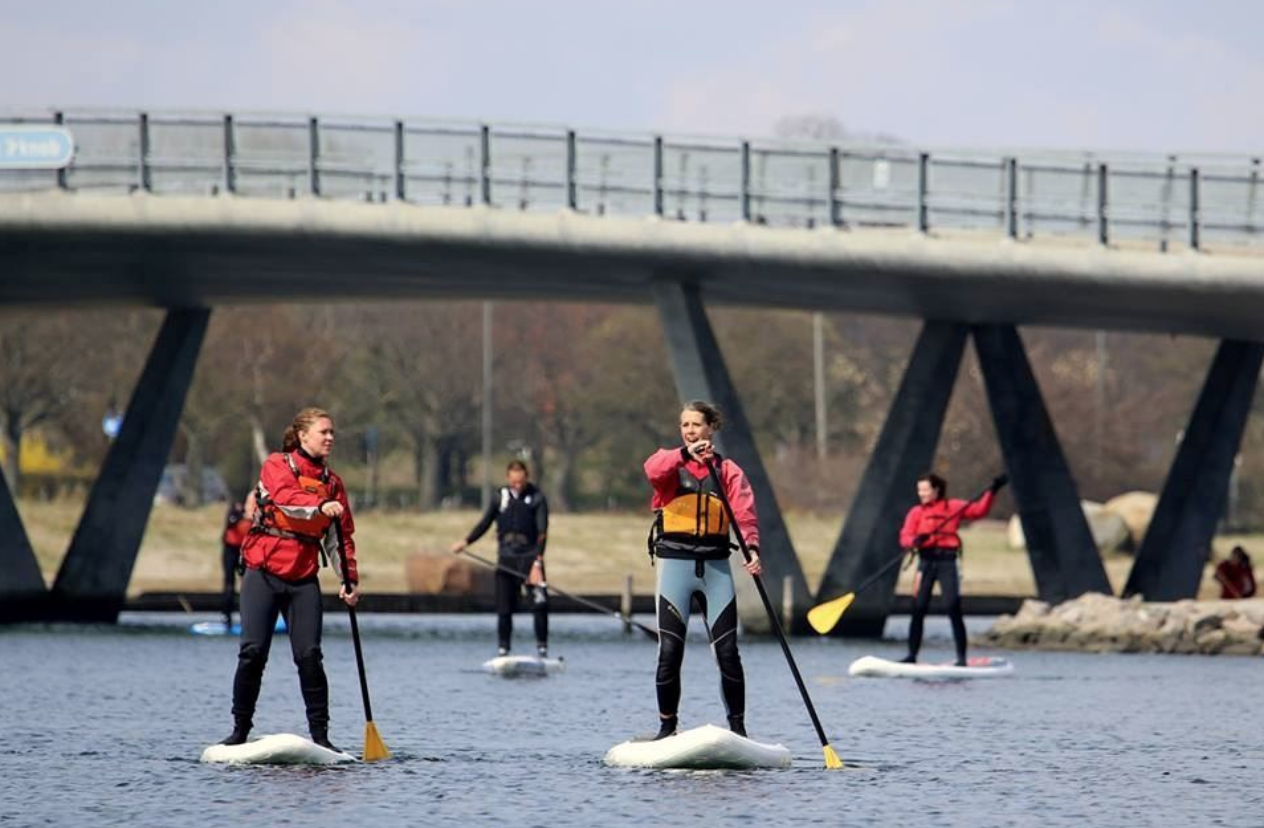 Skærmbillede 2019-05-01 kl. 18.11.20.png