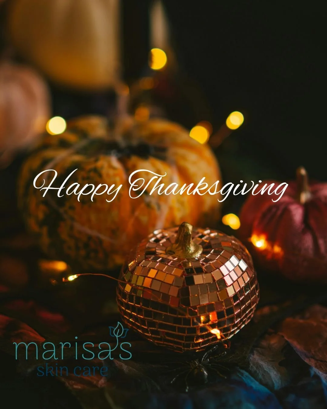 Happy Thanksgiving from our family to yours 🧡
We&rsquo;re overflowing with gratitude for our amazing clients, our beautiful community, and the friendships that make this little family-run spa so special. Thank you for supporting our dream, year afte