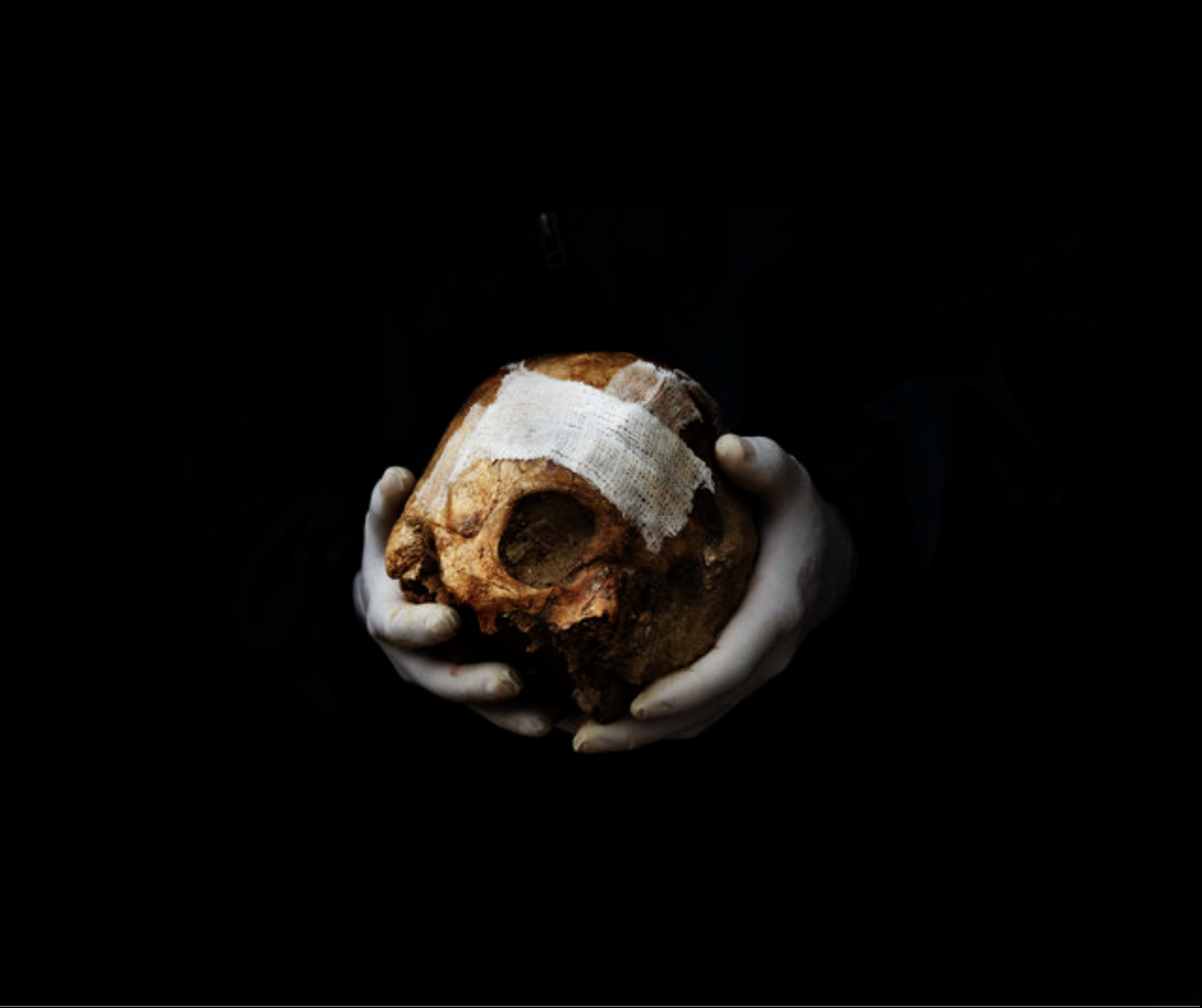 forensics 7-resized.png