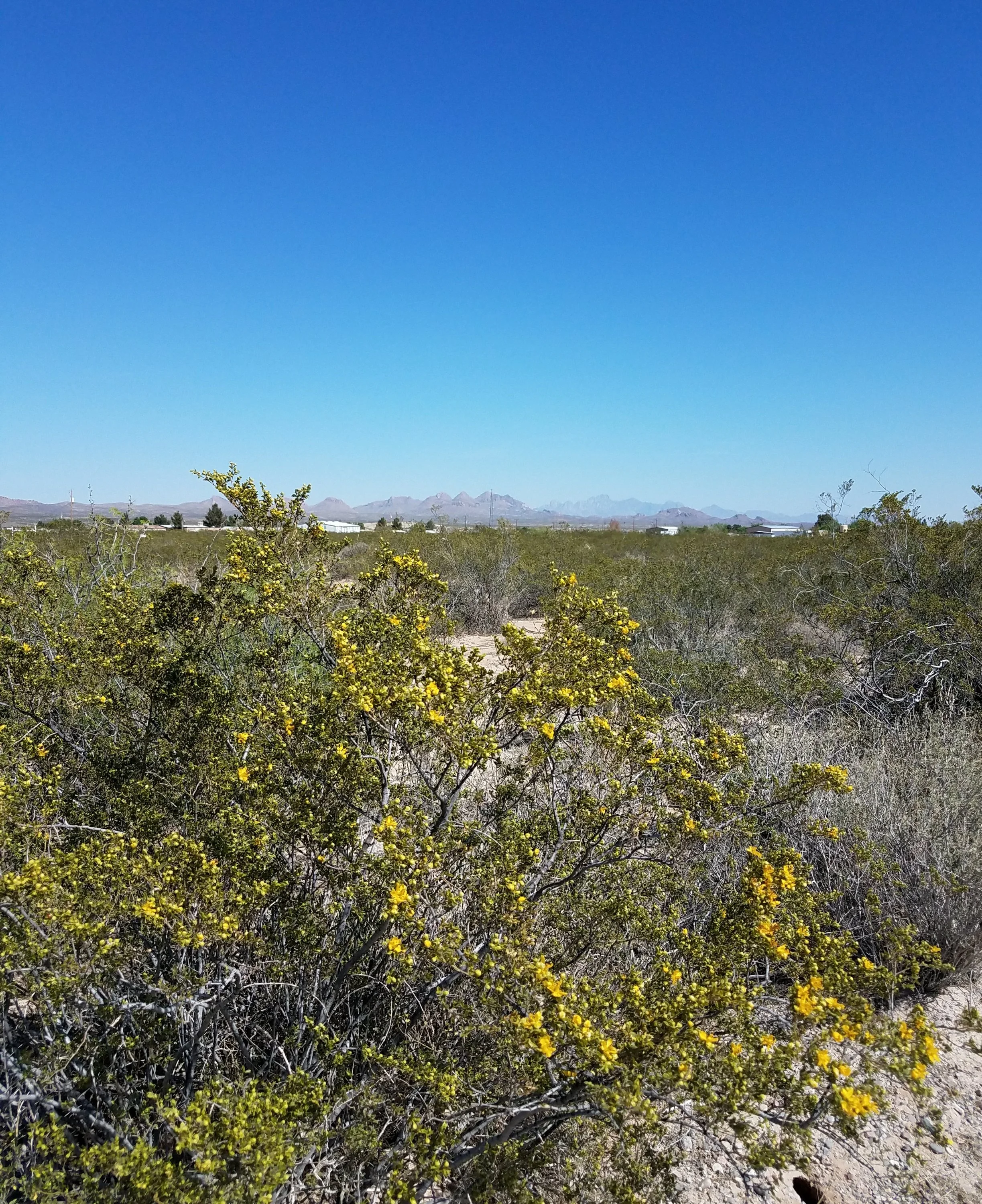 20180410_1544072139703840.jpg