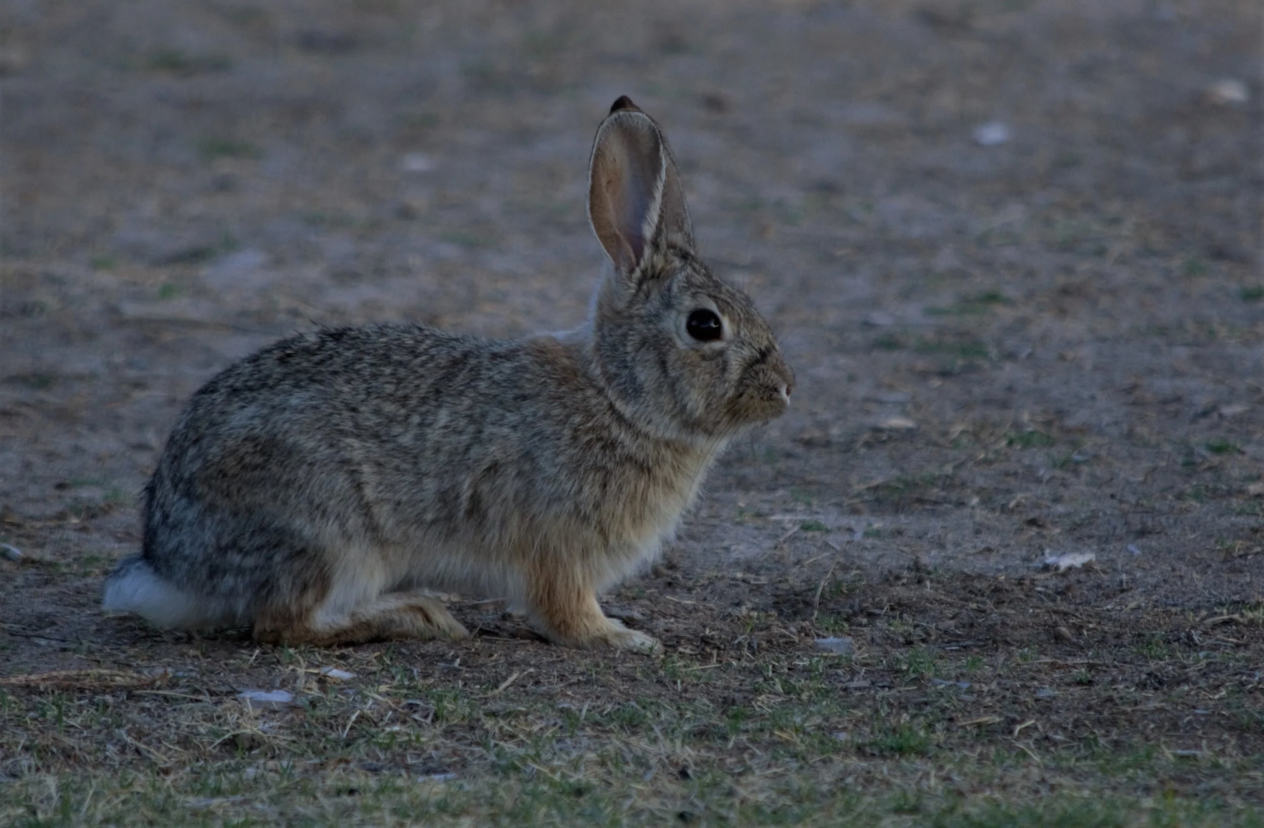 DSC_0670.jpg
