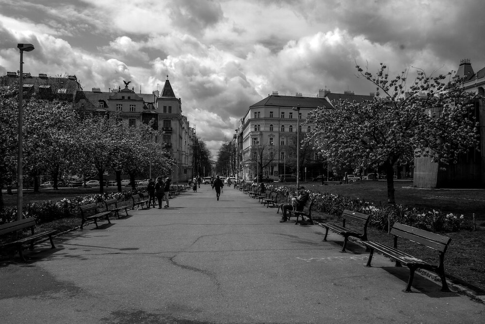 R0006067.jpg