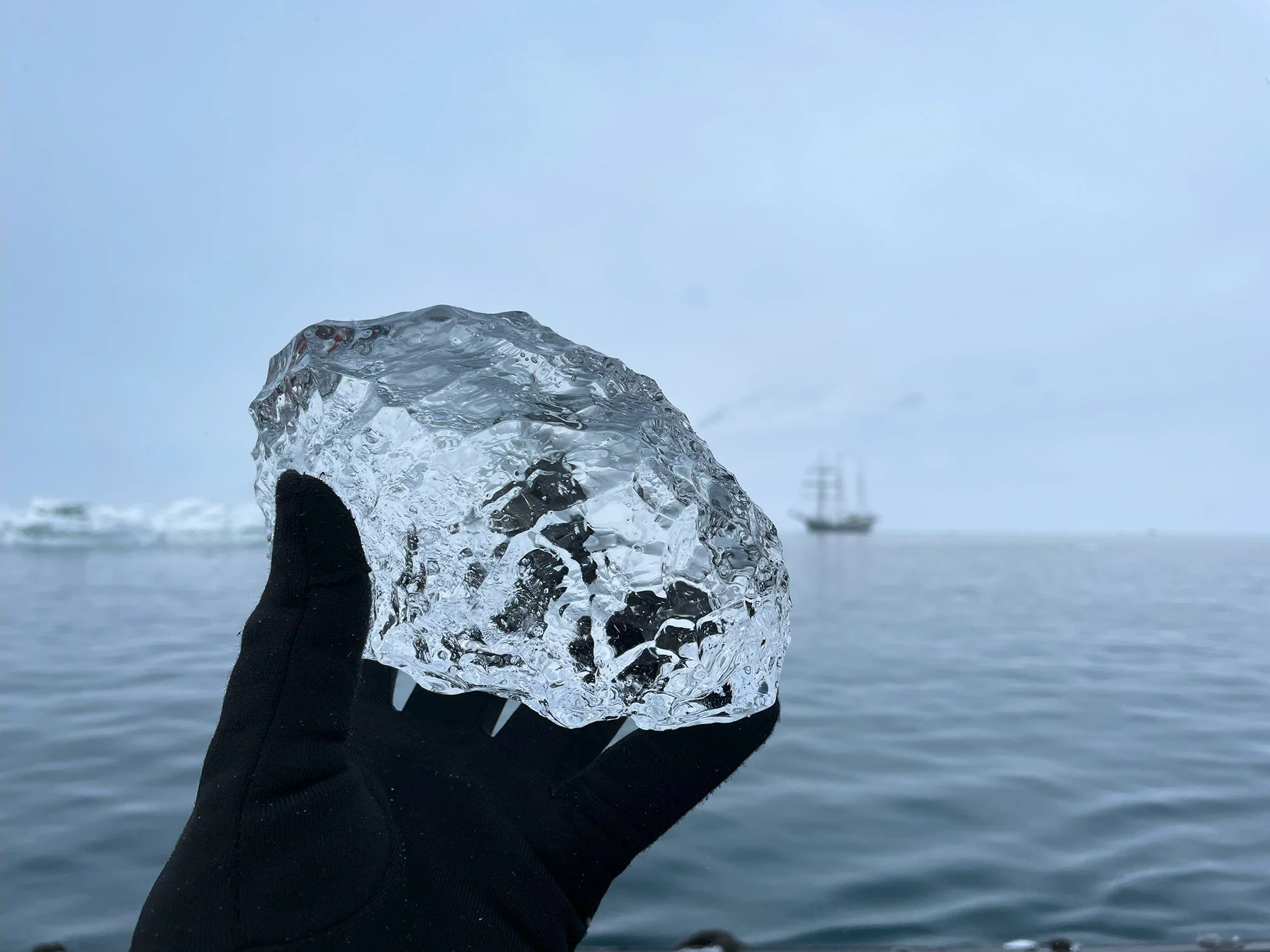 Copy of IMG_8789_HV_rgb_flat_2000px.jpg