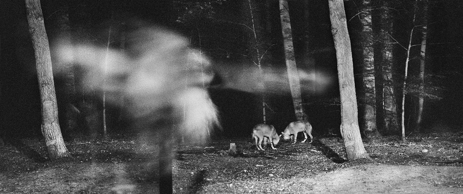 Vanishing_06.jpg