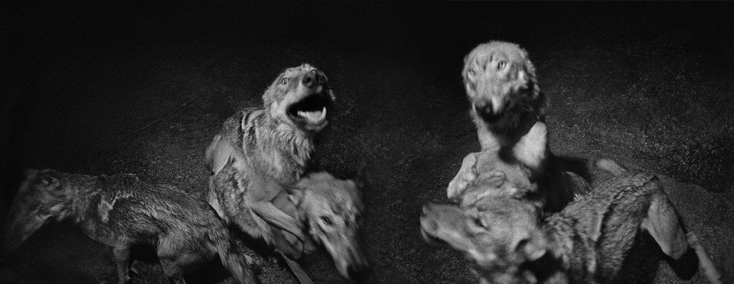 Vanishing_23.jpg