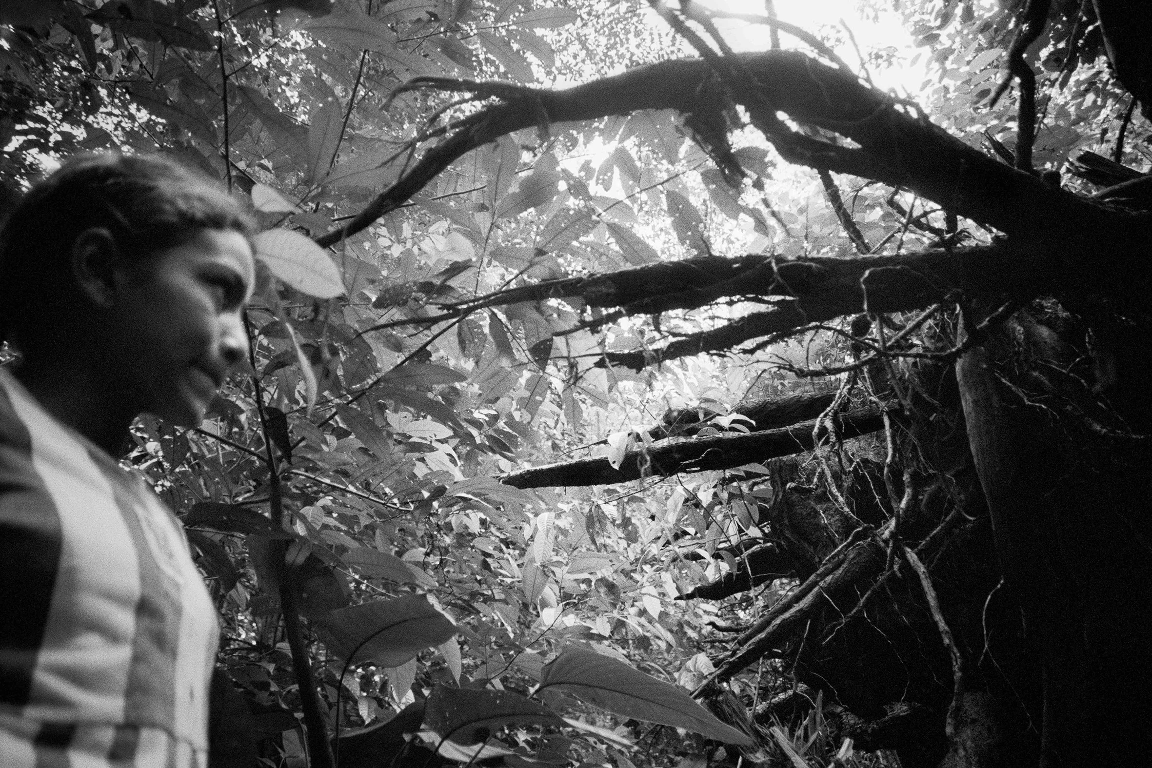 05_pommez enchanted_rgb.jpg