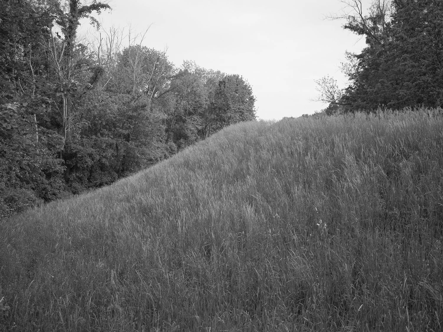 Catskill Aqueduct, Orange County, 2018.jpg