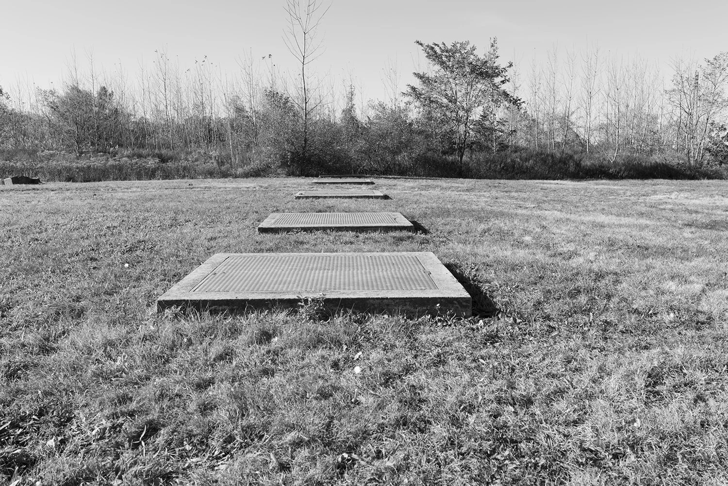 Douglaston Bay Stormwater Retention, Queens, 2021.jpeg