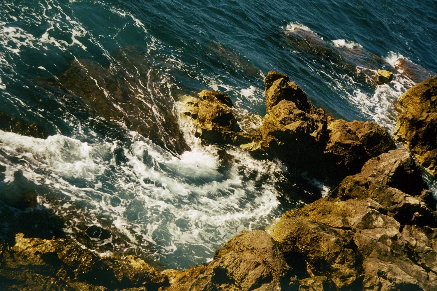 c18.jpg