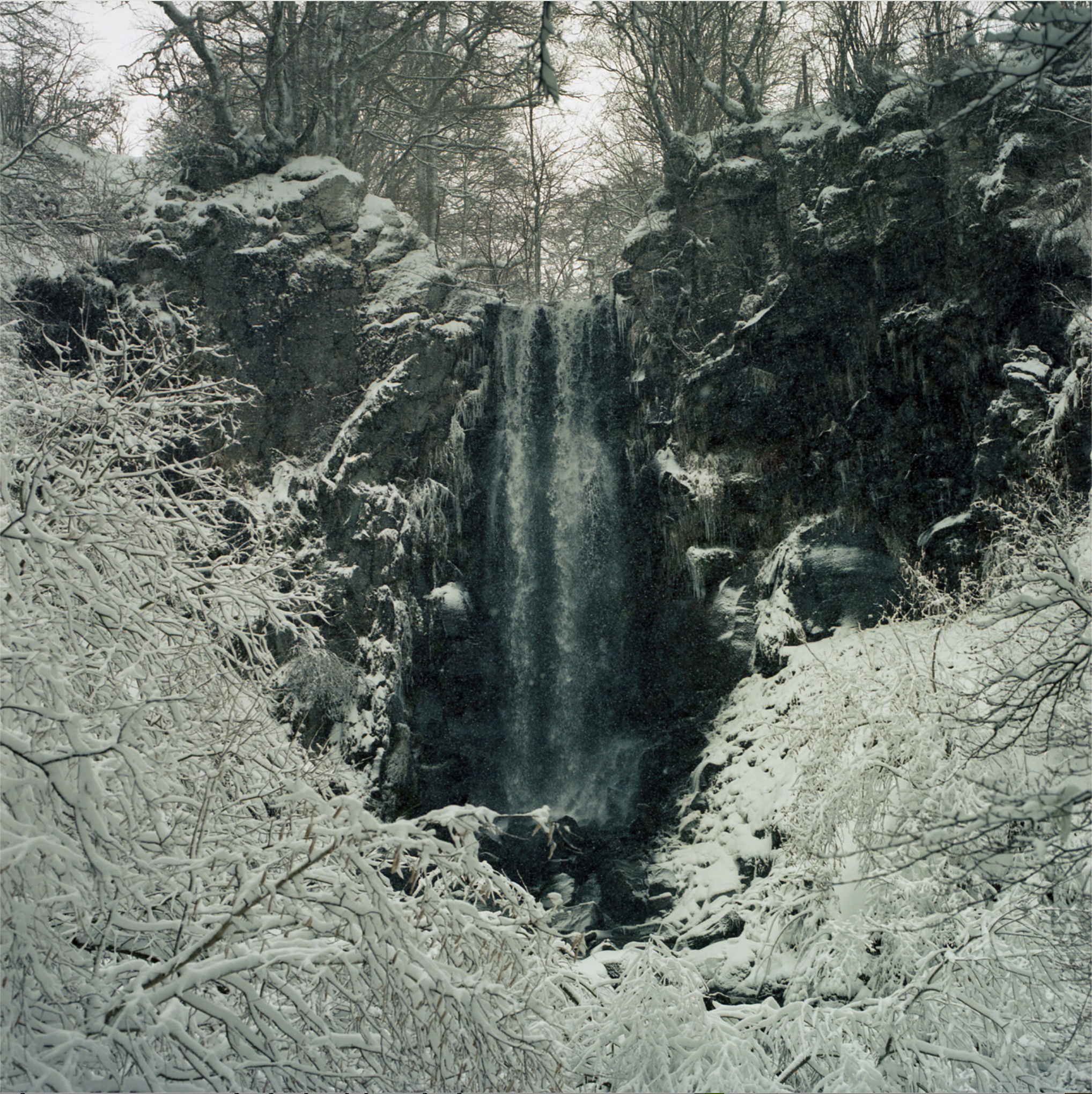 Oreille coupée by Julien Coquentin 11.png
