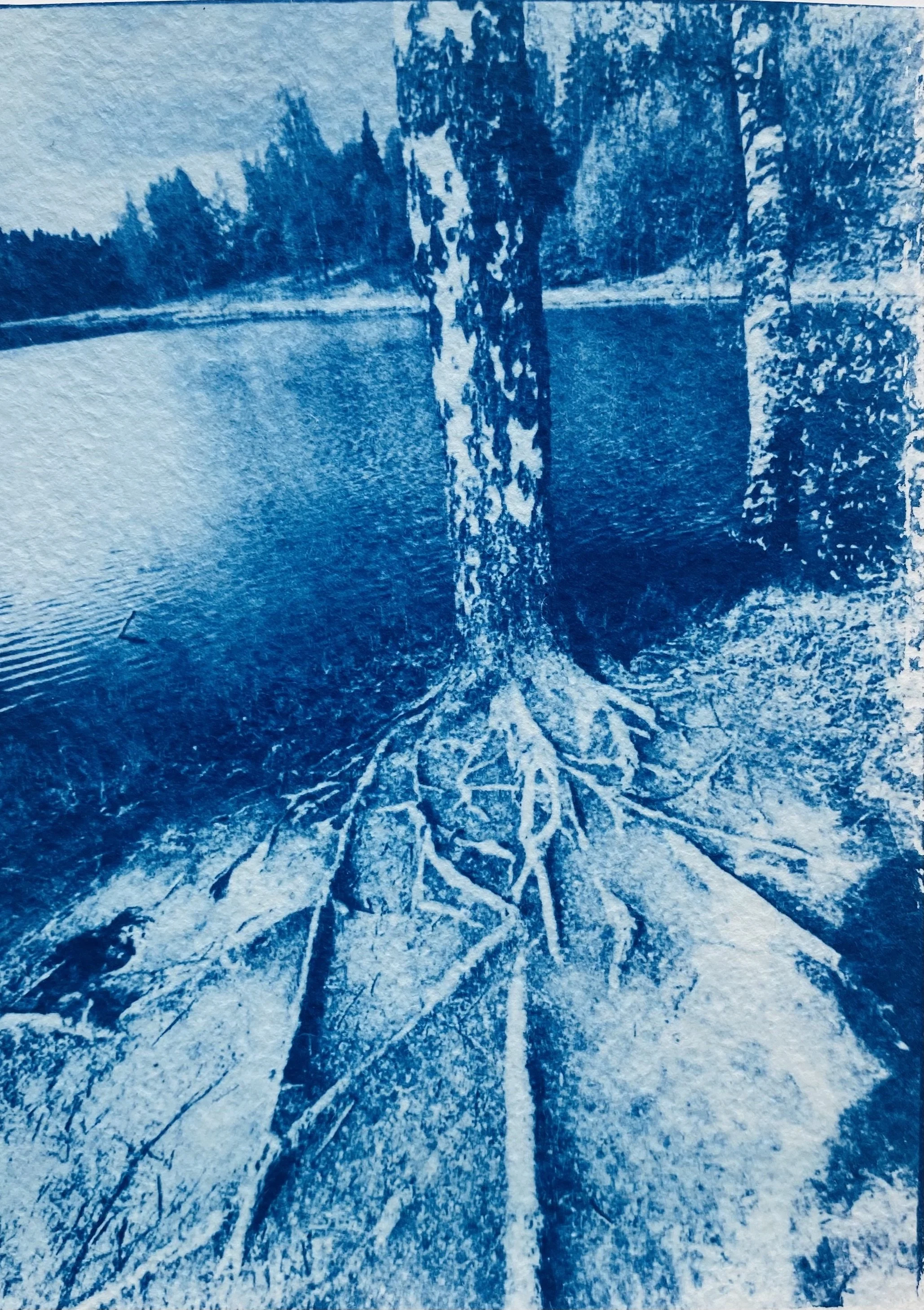 Ida Anderson_Blue Valentines_20.jpg
