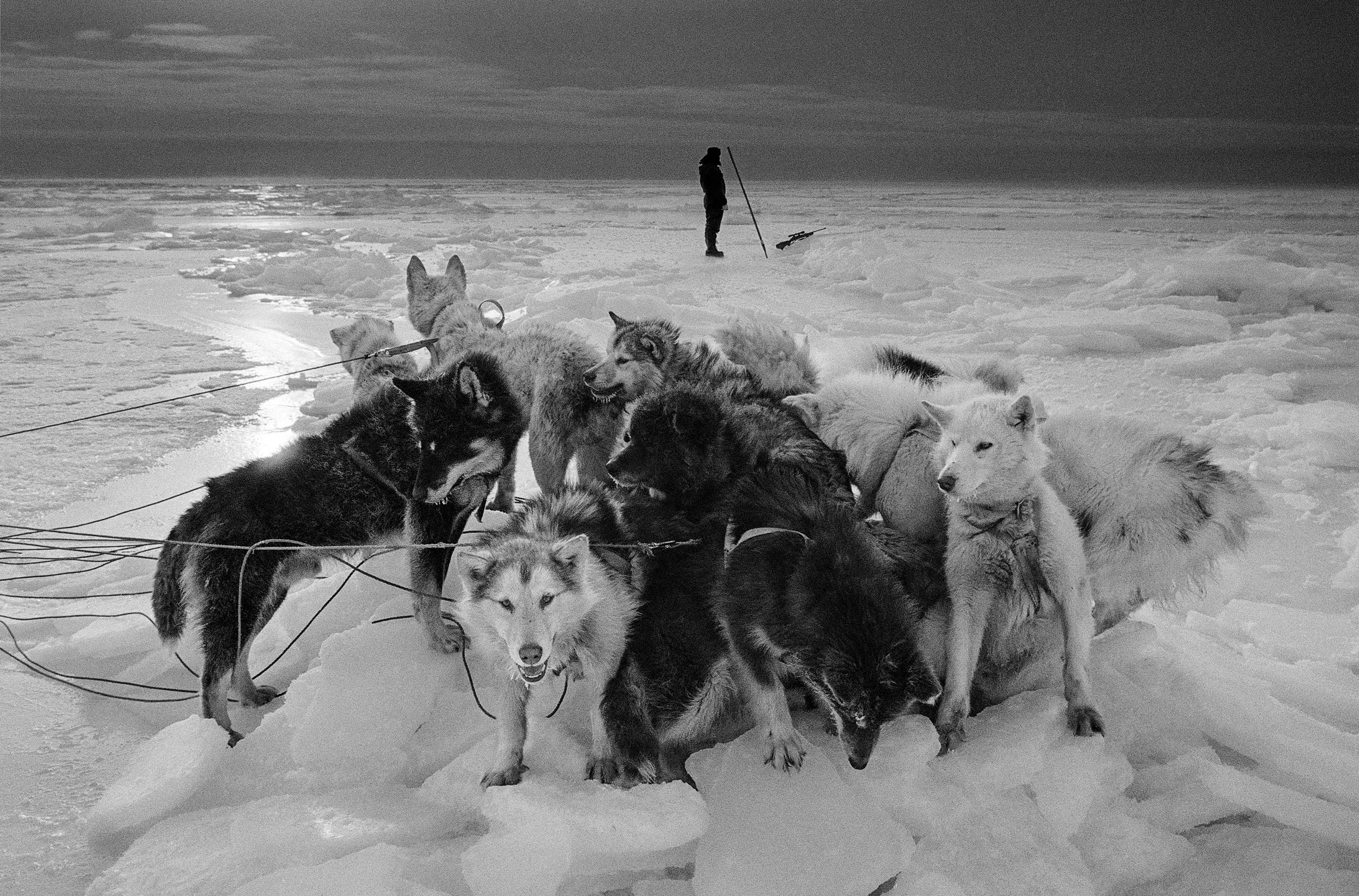 294-GR-Greenland-Hunter on the sea ice-Ragnar Axelsson.jpg