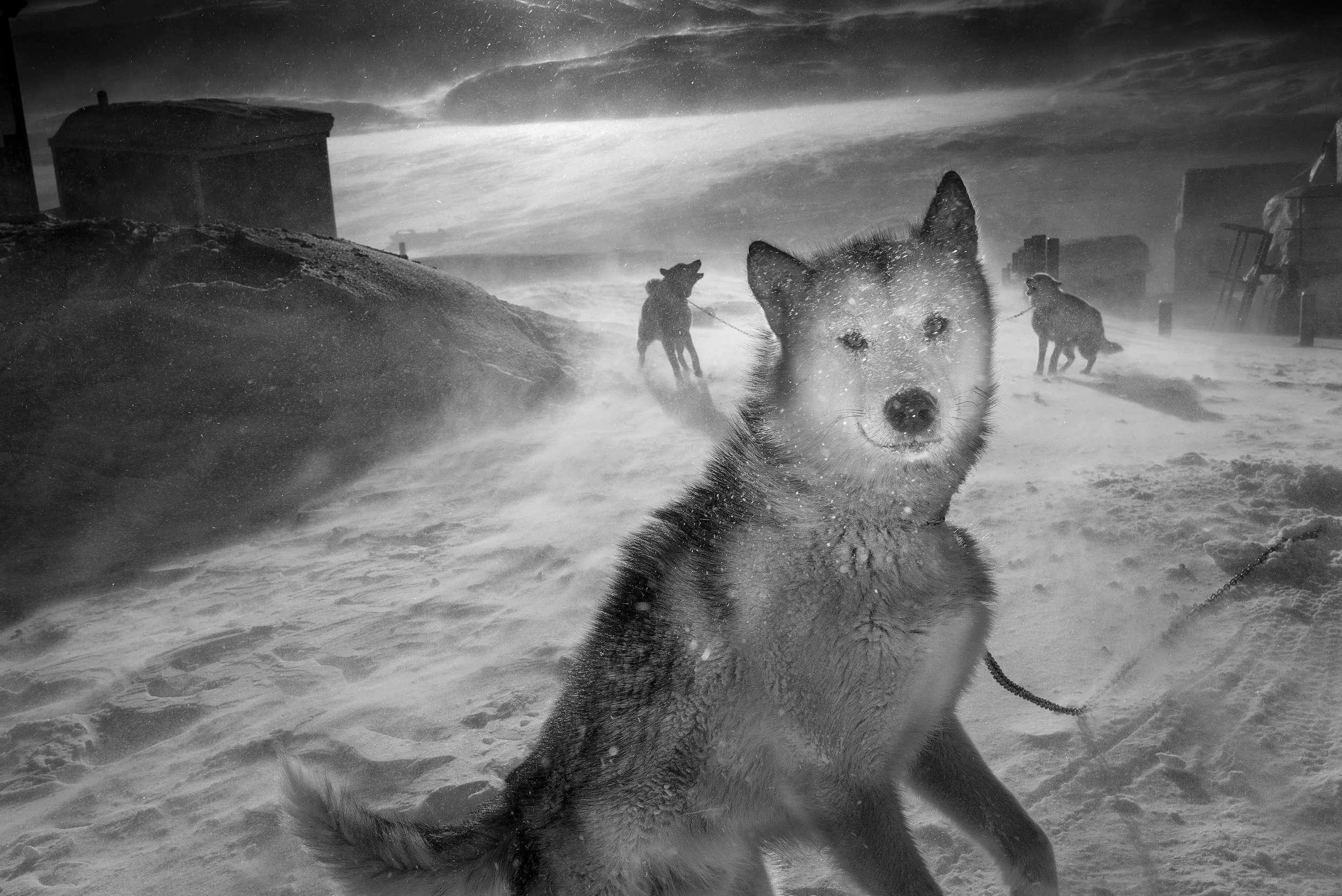 Arctic Heroes - RAX - 127.jpg