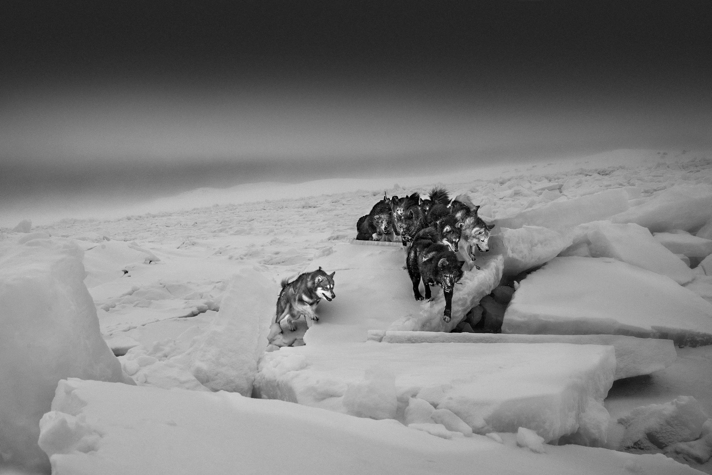 Arctic heroes-Greenland-13-13.jpg