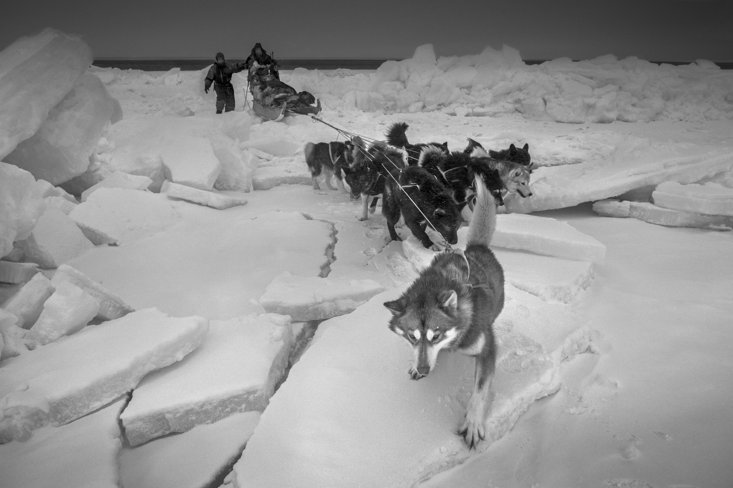 Arctic-Heroes-Hjelmer-hunter.jpg