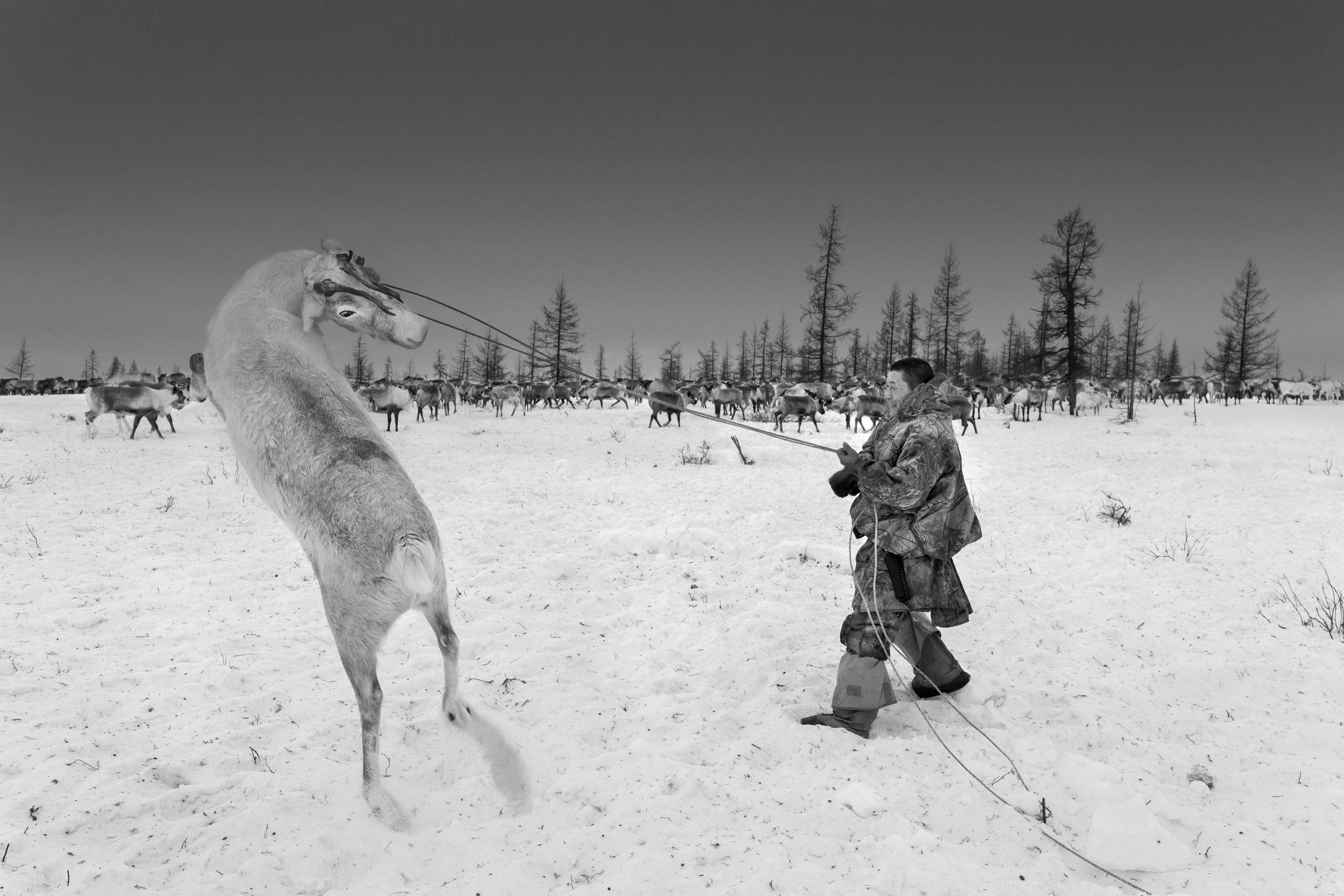 L1180644-Siberia.jpg