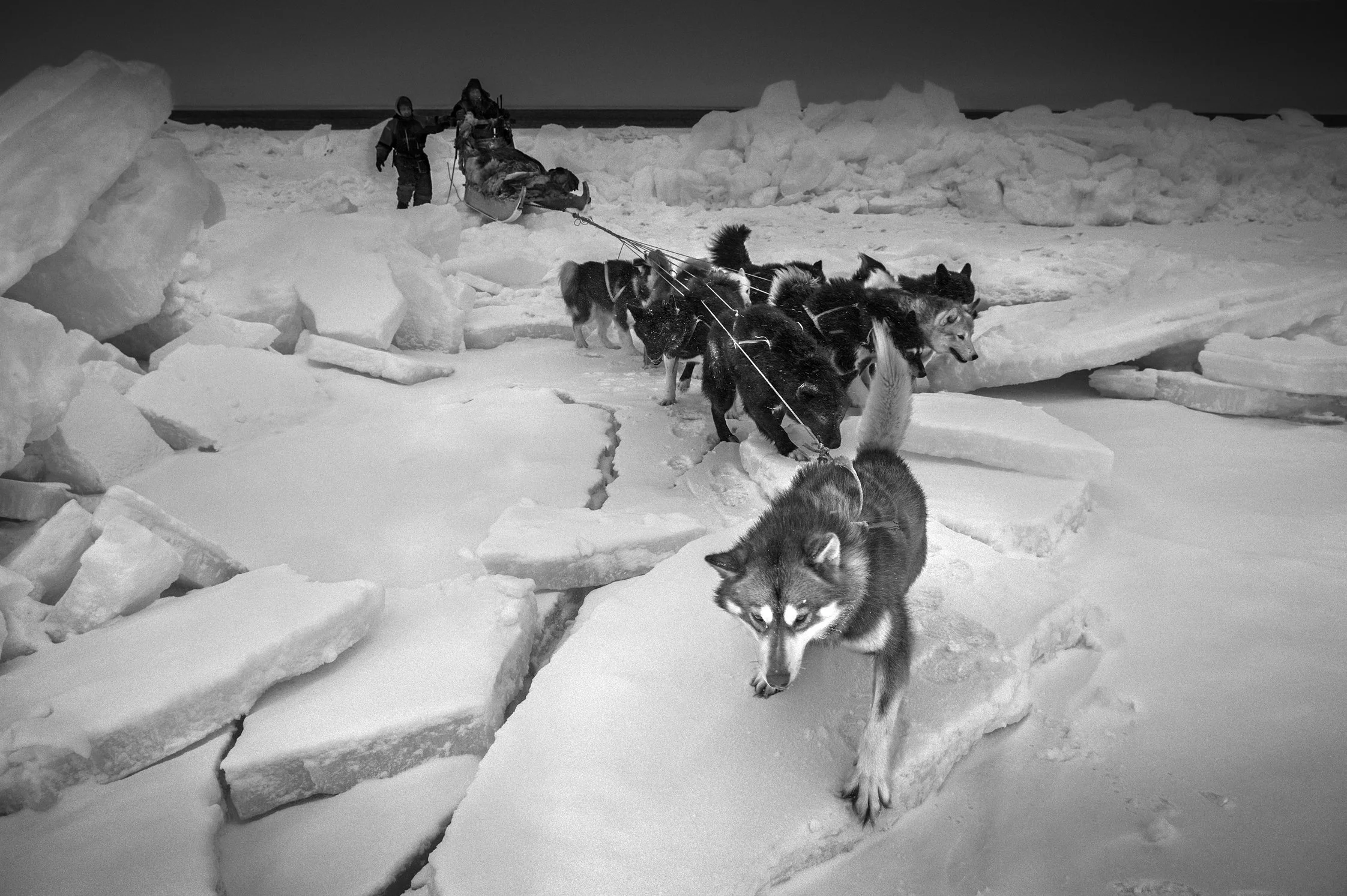 Last Days of the Arctic00003 (1).jpg