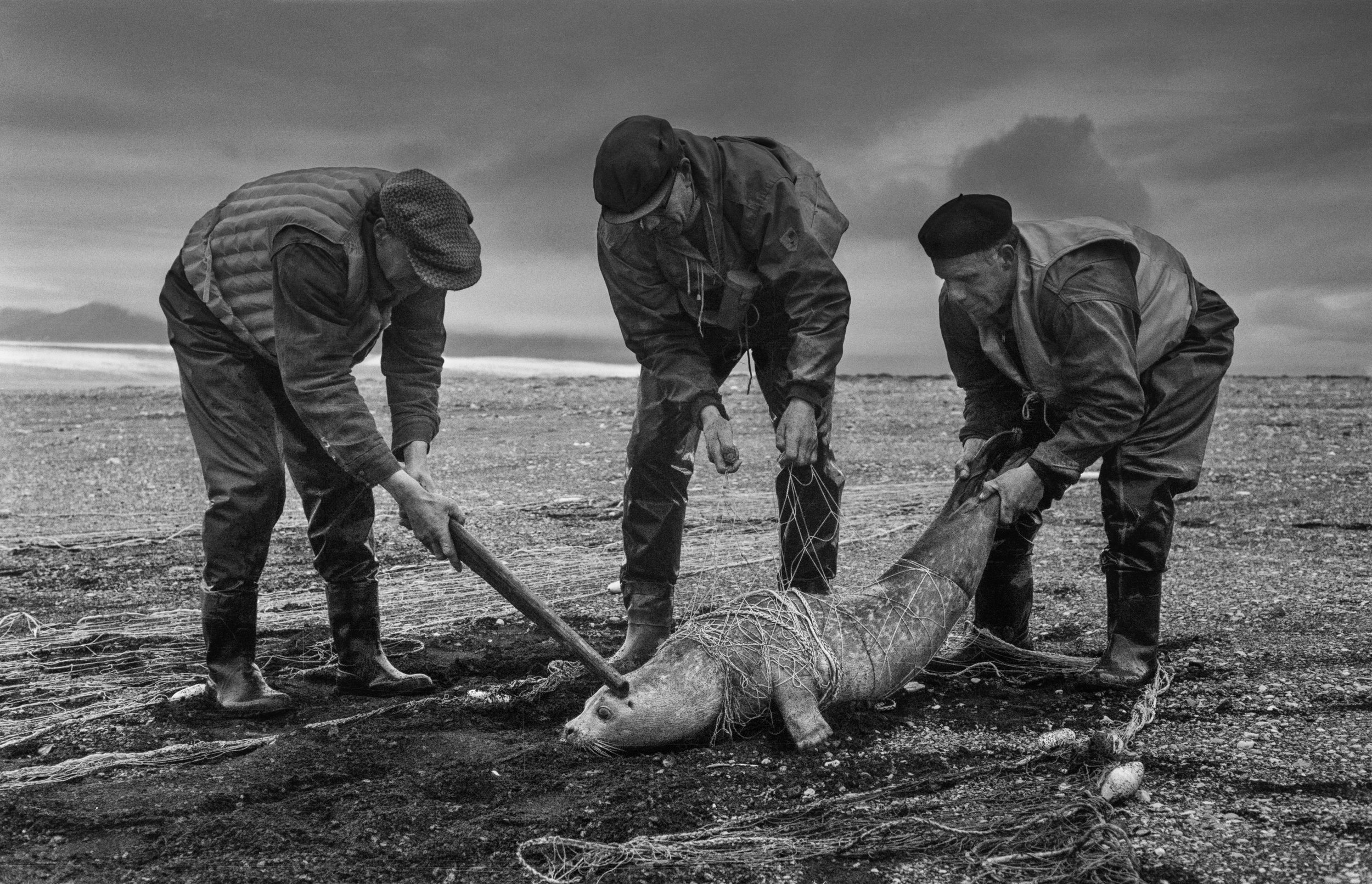 Rax-2009090618-Seal hunters-Iceland-1968.jpg