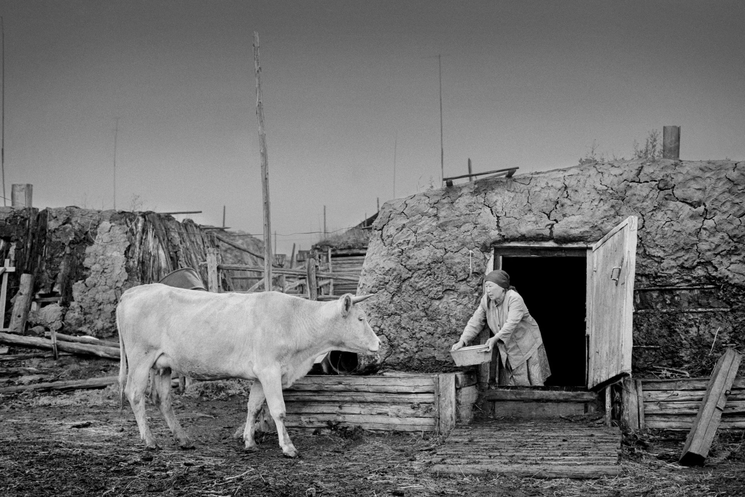 RAX-Siberia-Yakutia-Ragnar Axelsson.jpg