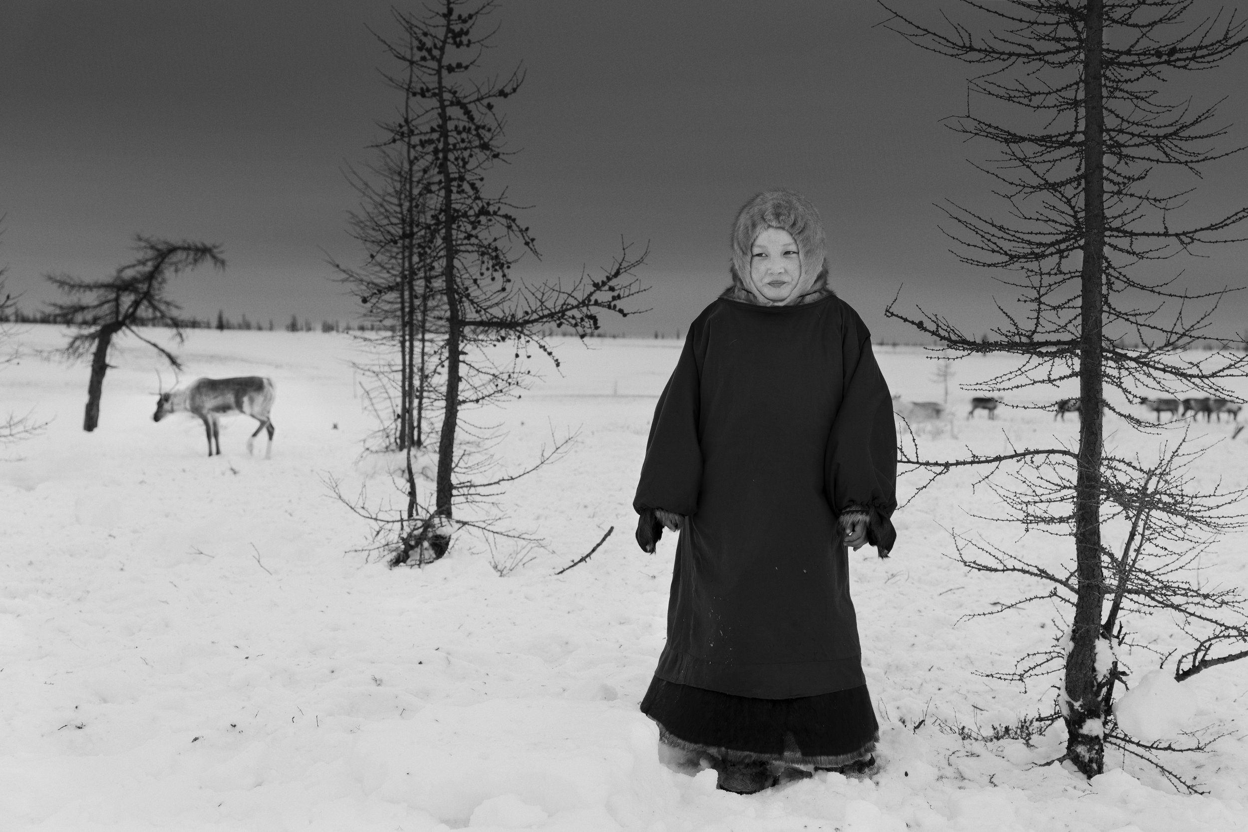 Siberia-Nents-Ragnar Axelsson.jpg