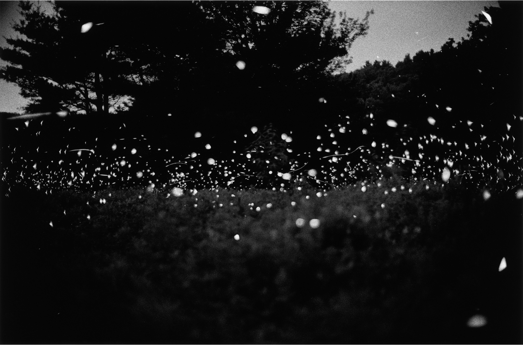 Gregory Crewdson Interview About Photography 17.png