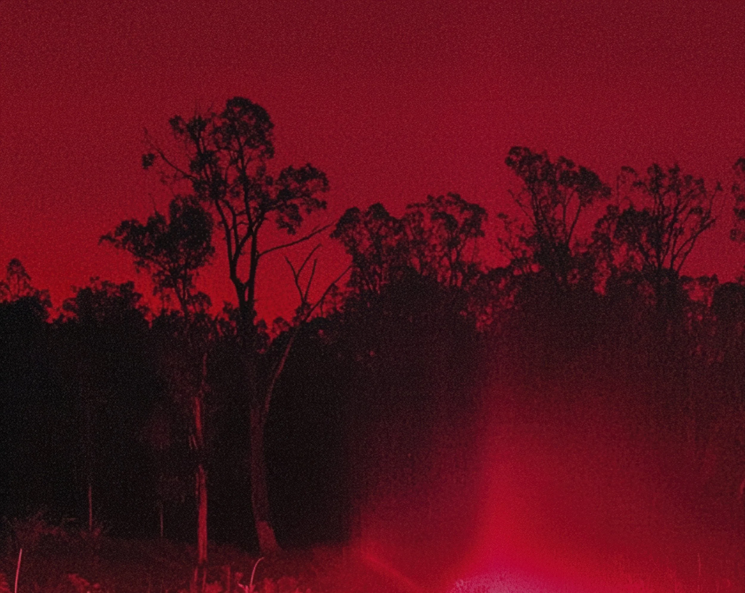 From Invisible Sun by Amani Willet_8.jpg