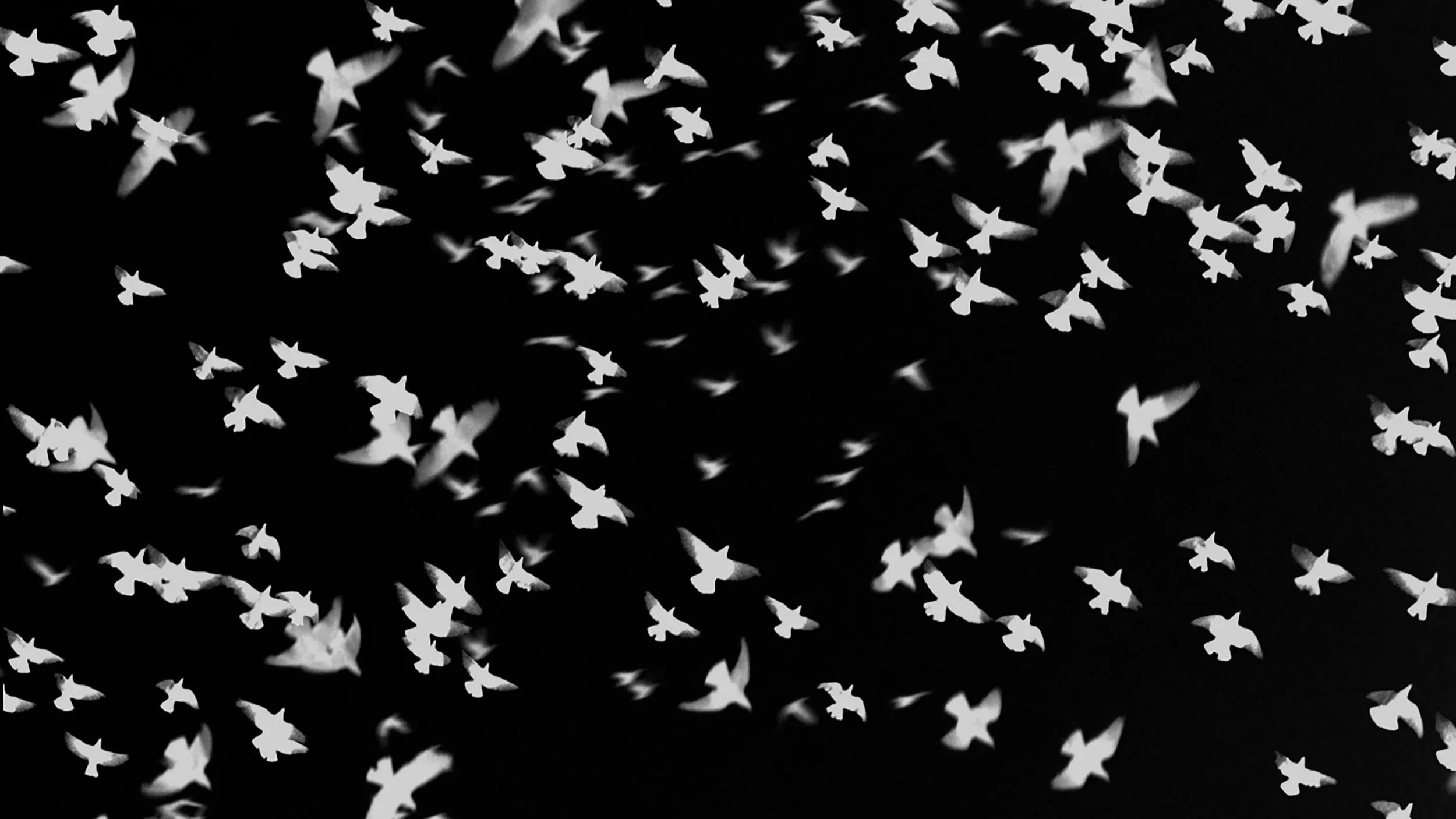 How Amani Willett Turned a Childhood of Unprocessed Trauma Into His Most Personal Photography Book Yet