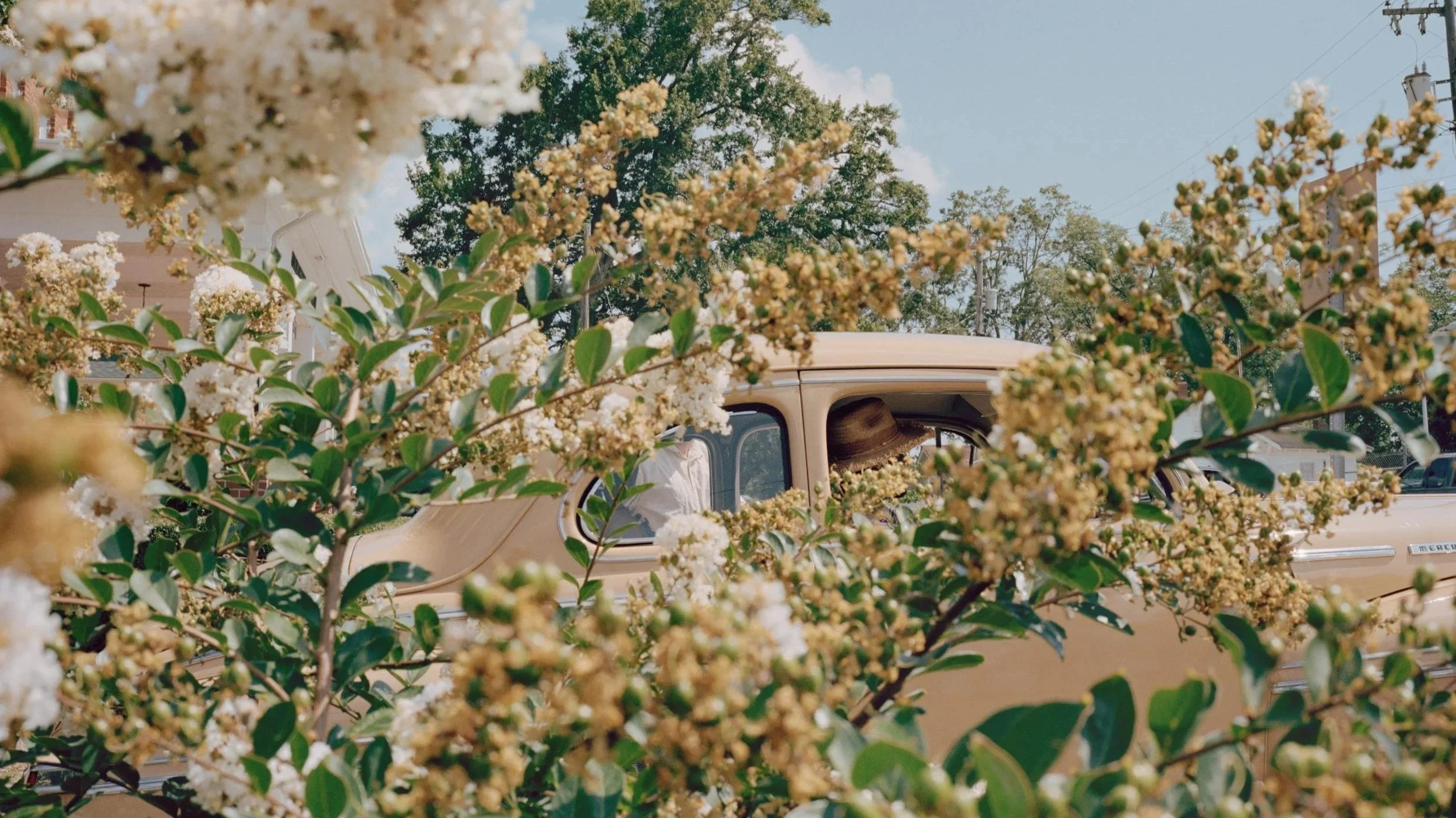 Inside the Quiet Turn in Rasmussen’s Work: Beauty That Pulls You Into Violence