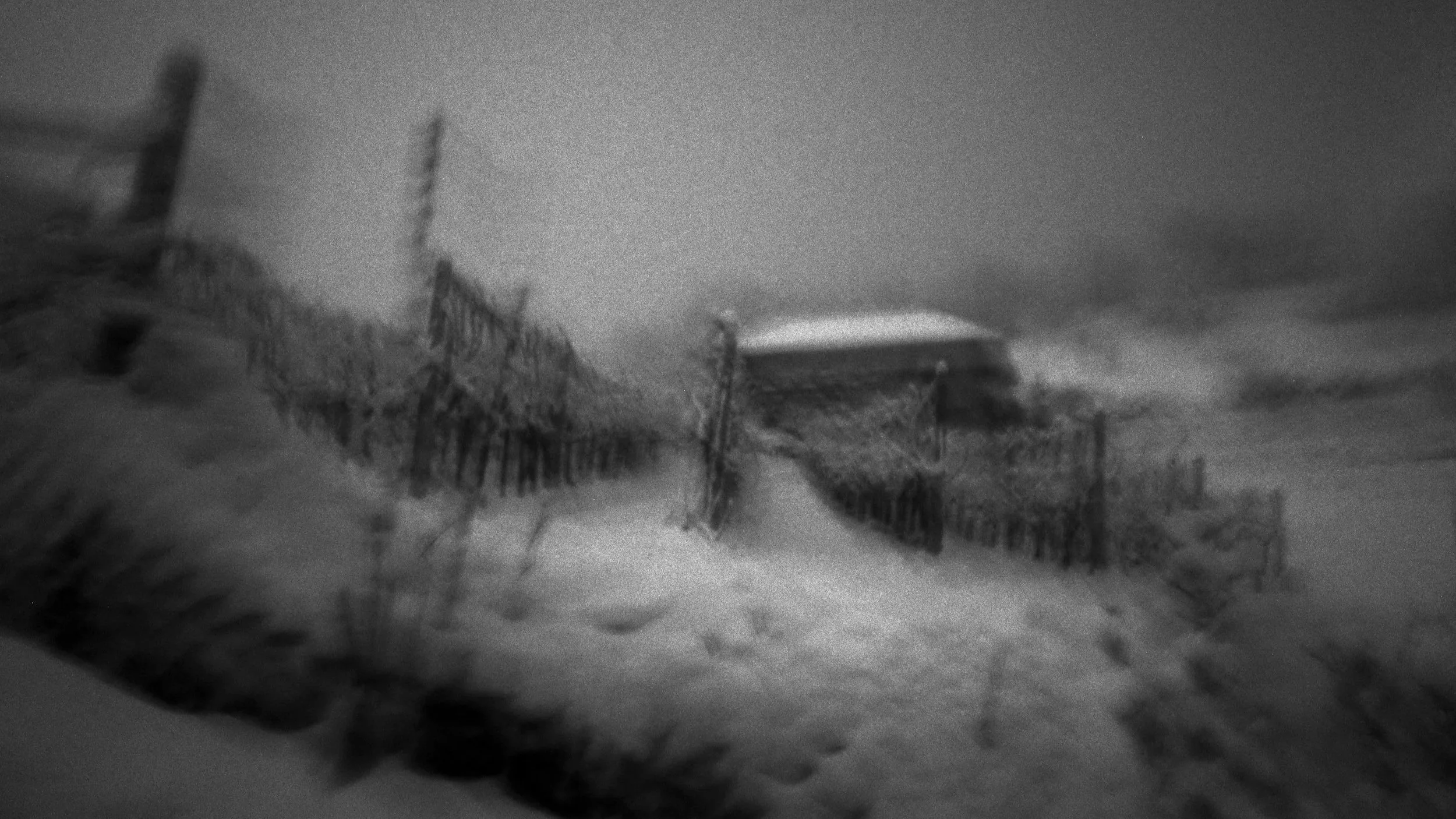 The Storm, the Hill, and the Silence: How Olga Karlovac Captured Silence in Motion