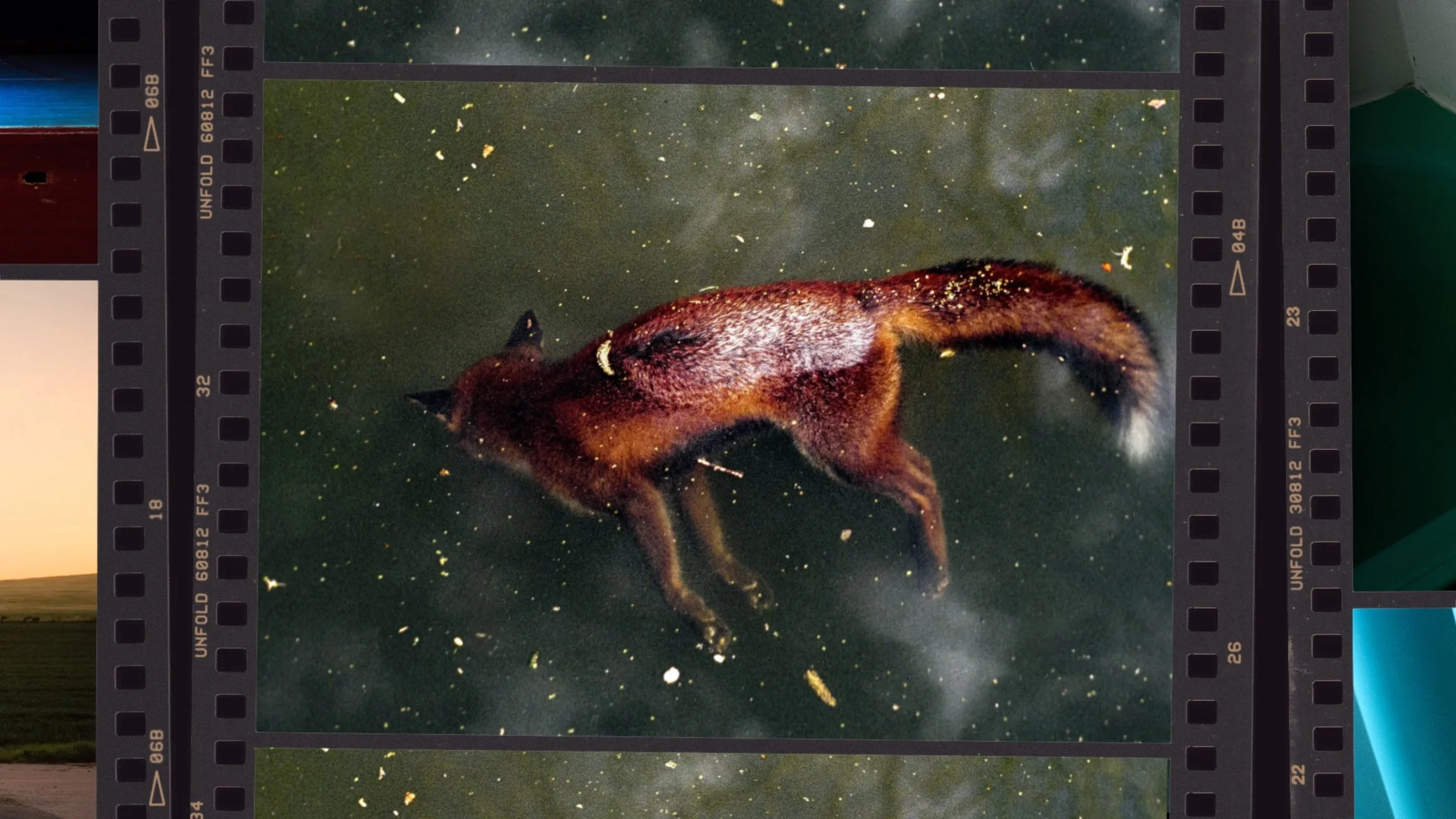 How Ian Howorth Photographs a Feeling