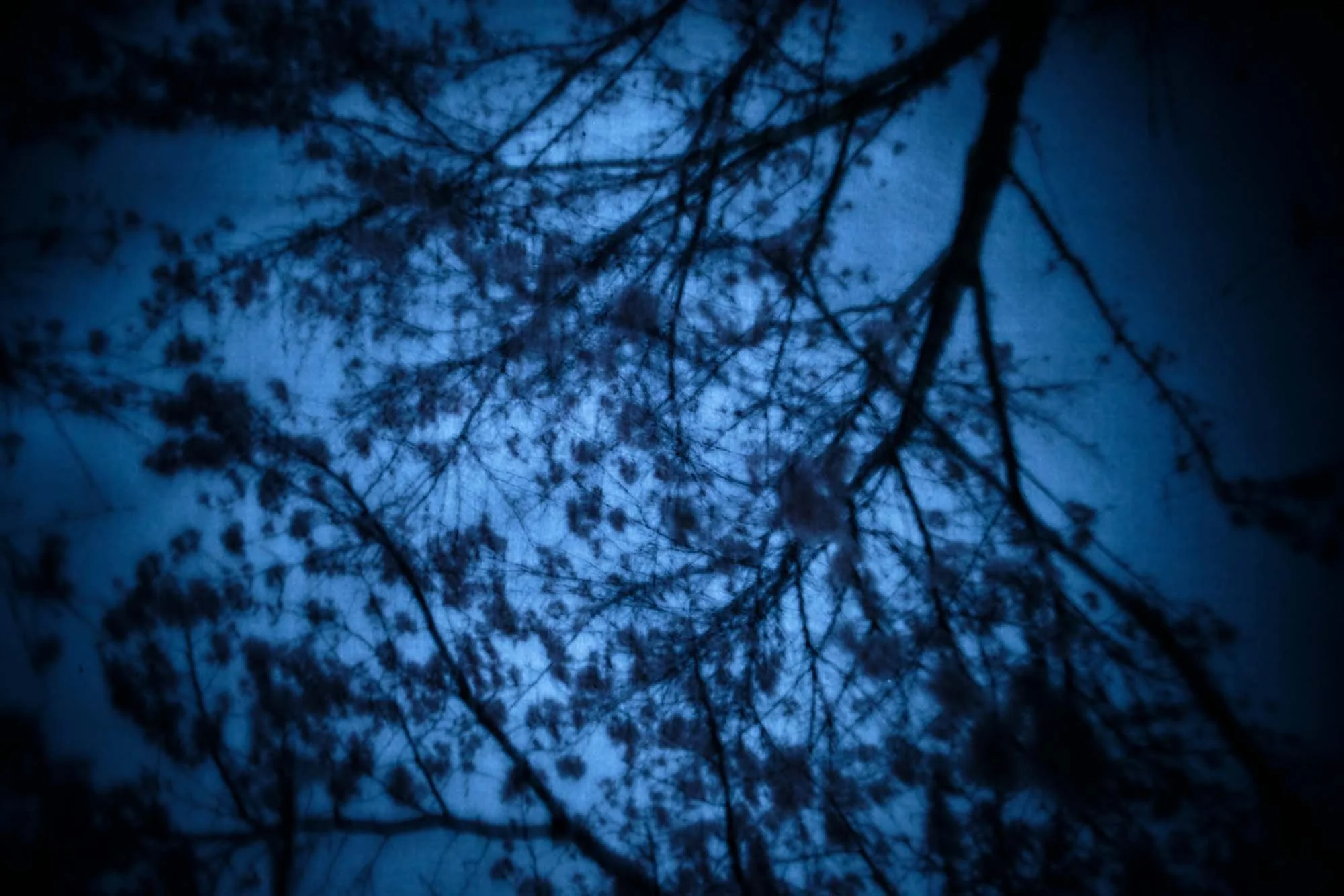 Haruhisa Camera image03.jpg