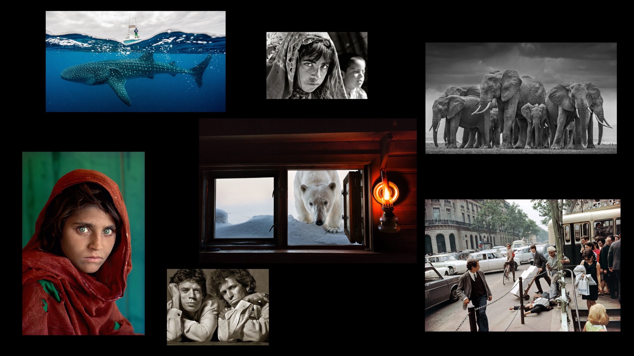 Why Every Photographer Should Learn From Masters Who Actually Do the Work