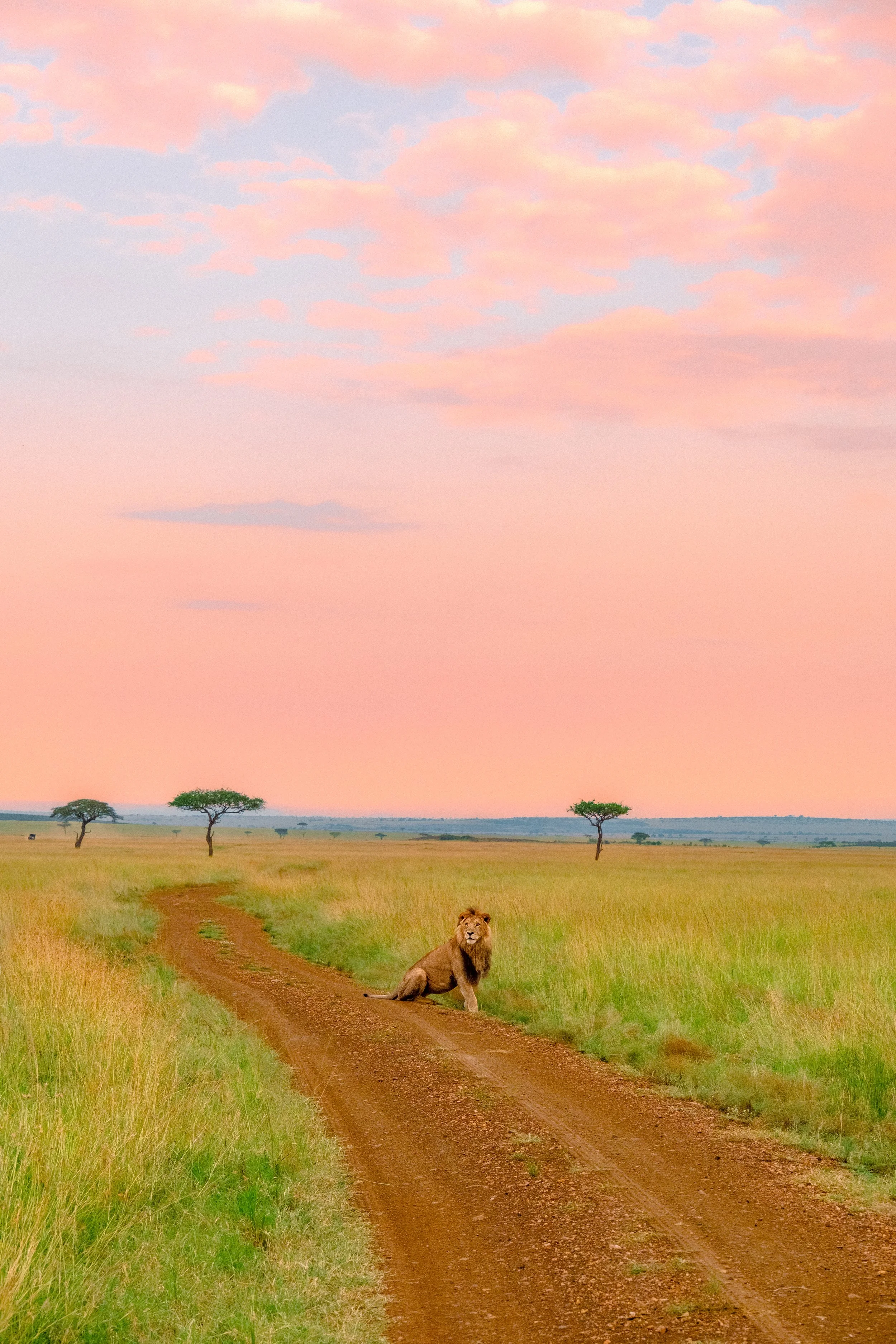 Sunrise in Kenya.JPG