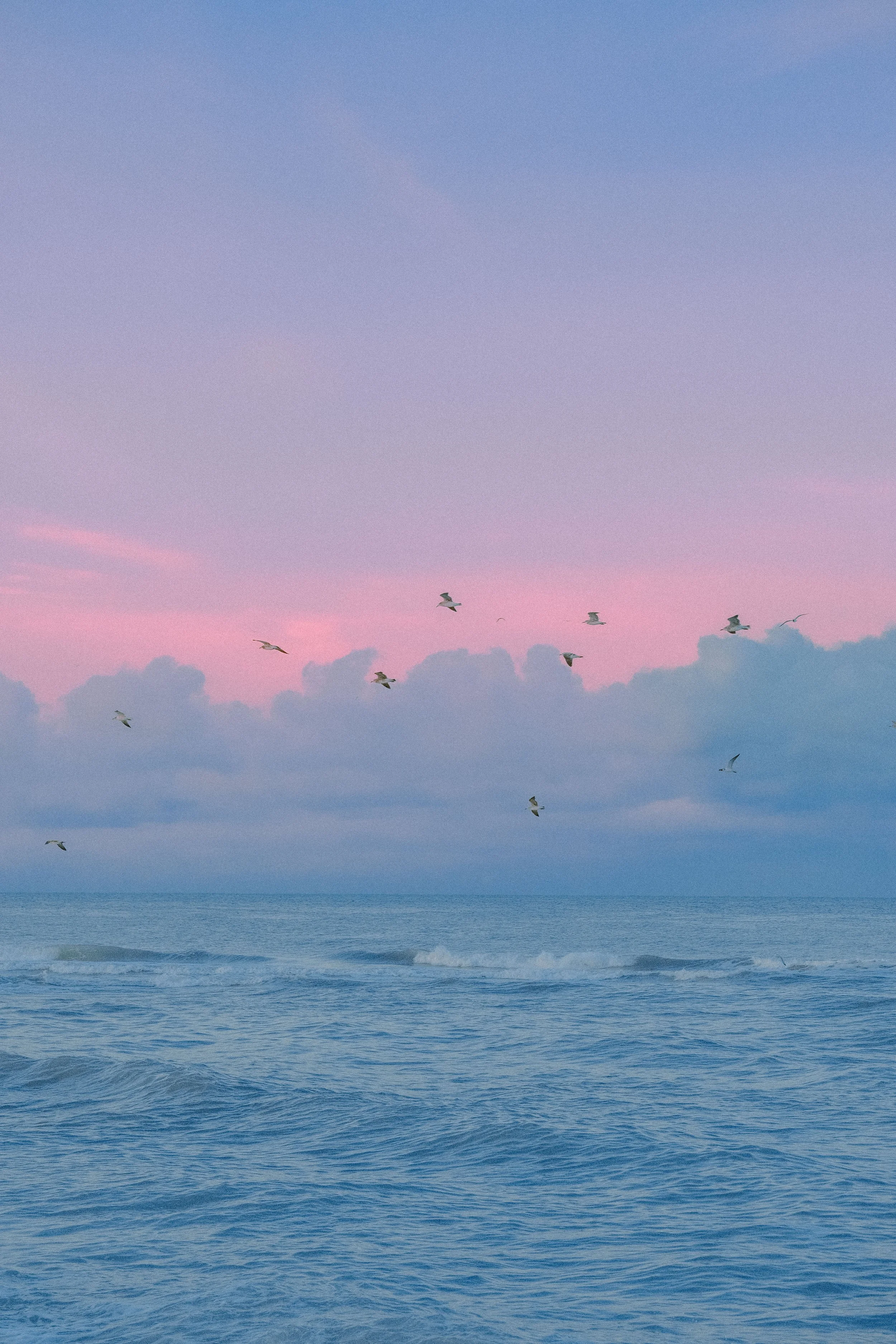 Sunrise in Florida.JPG