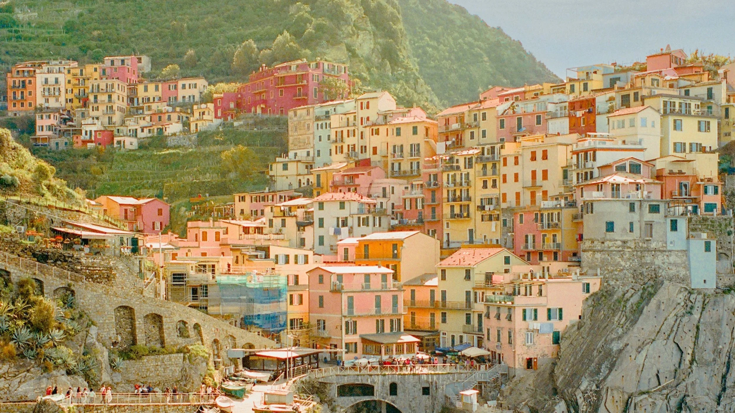 How Sunrise Hunts and Serendipity Created the Look of Alex Kittoe’s book