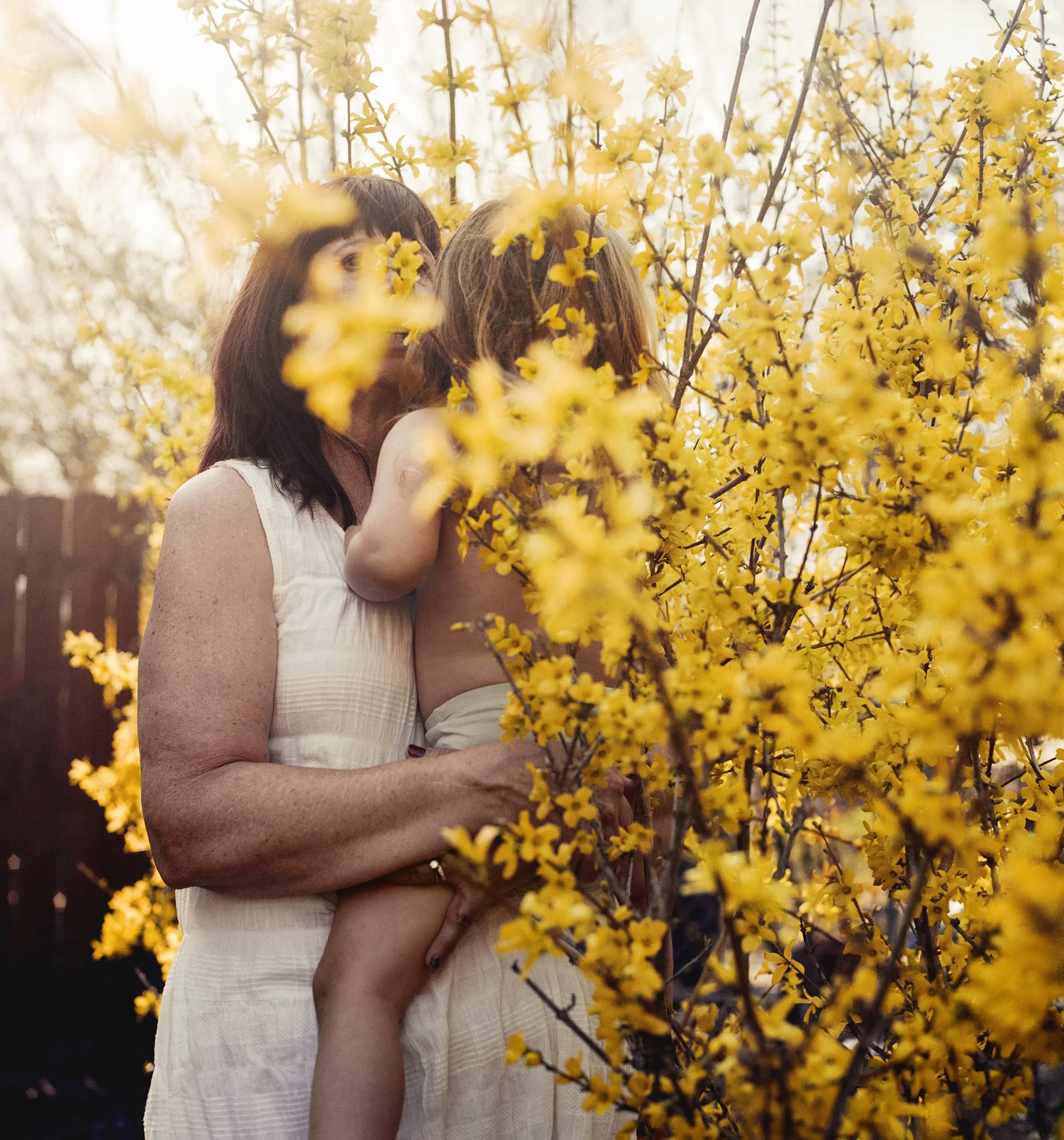 009_Forsythia_LRWEB.jpg