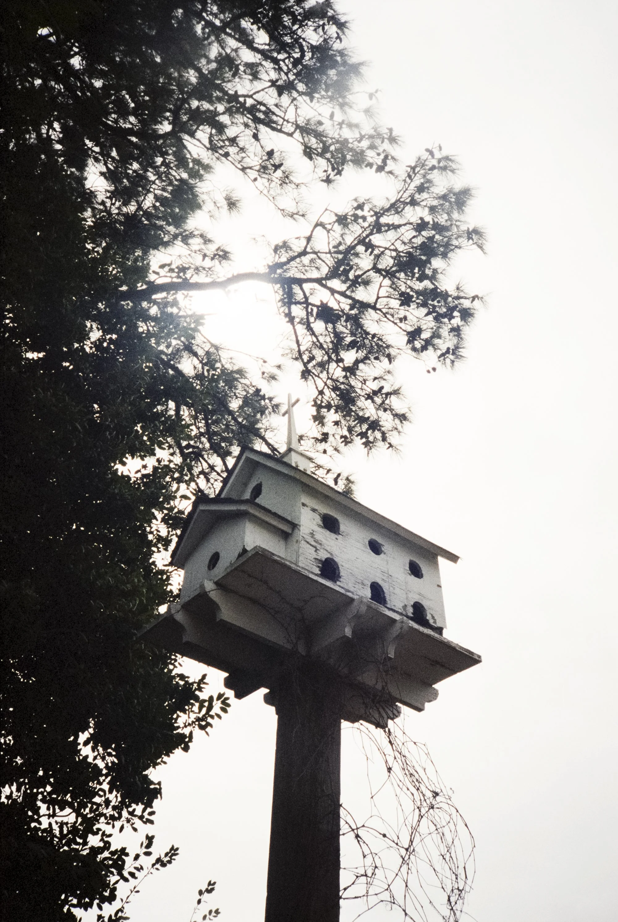 36_Birdhouse_LRWEB.jpg