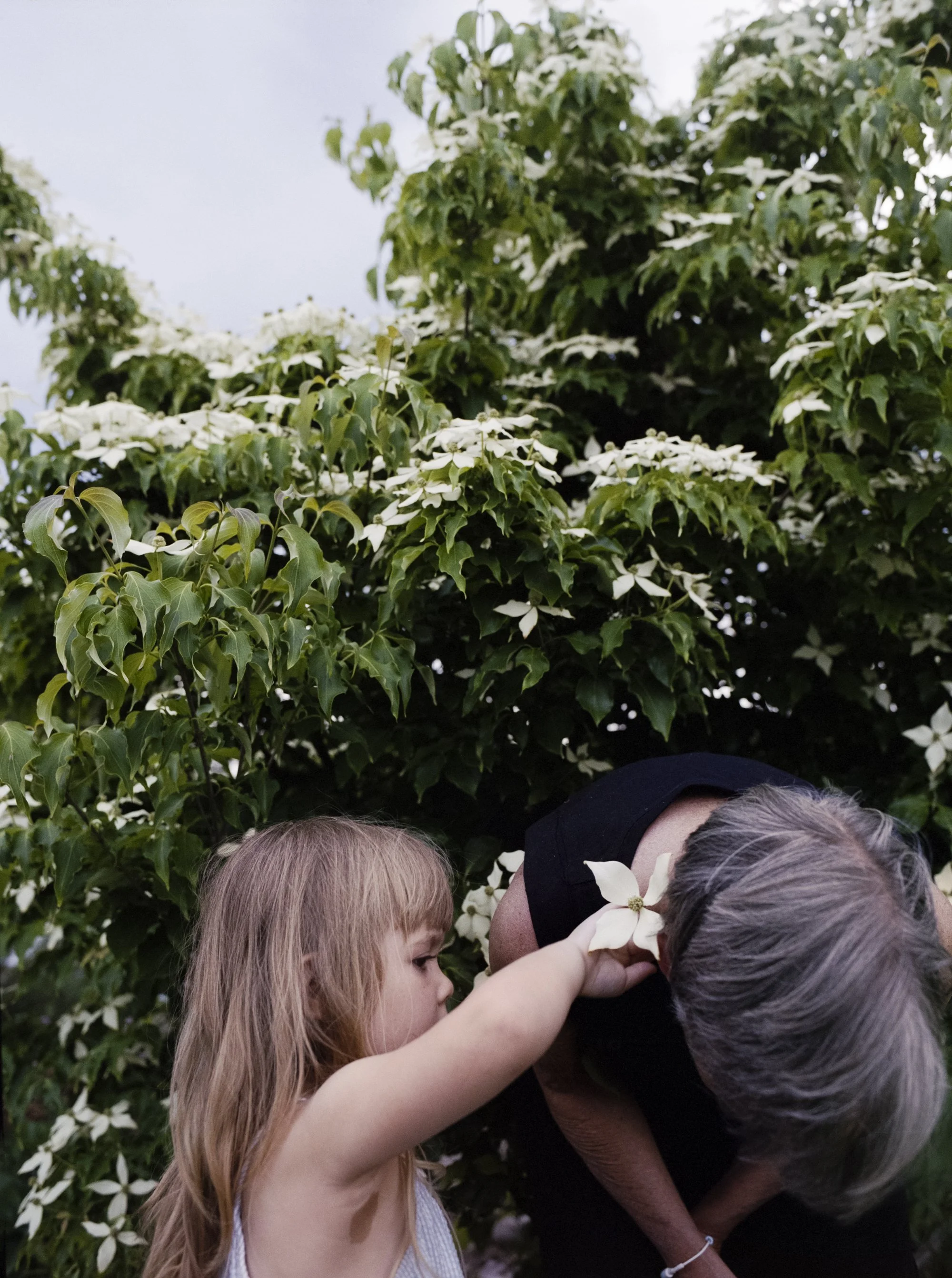 37_Flowerhair_LRWEB.jpg
