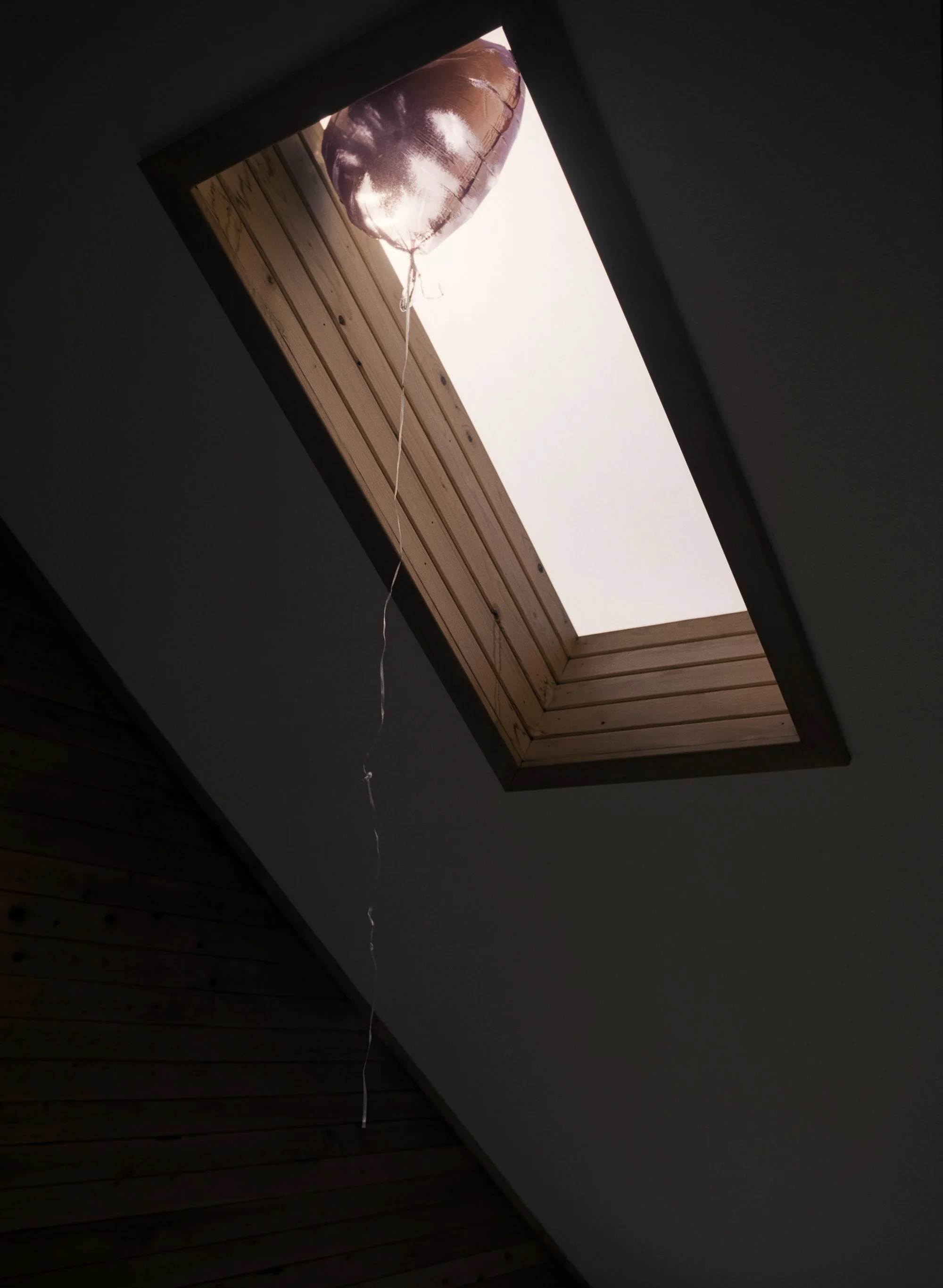44_PinkBalloon_LRWEB.jpg
