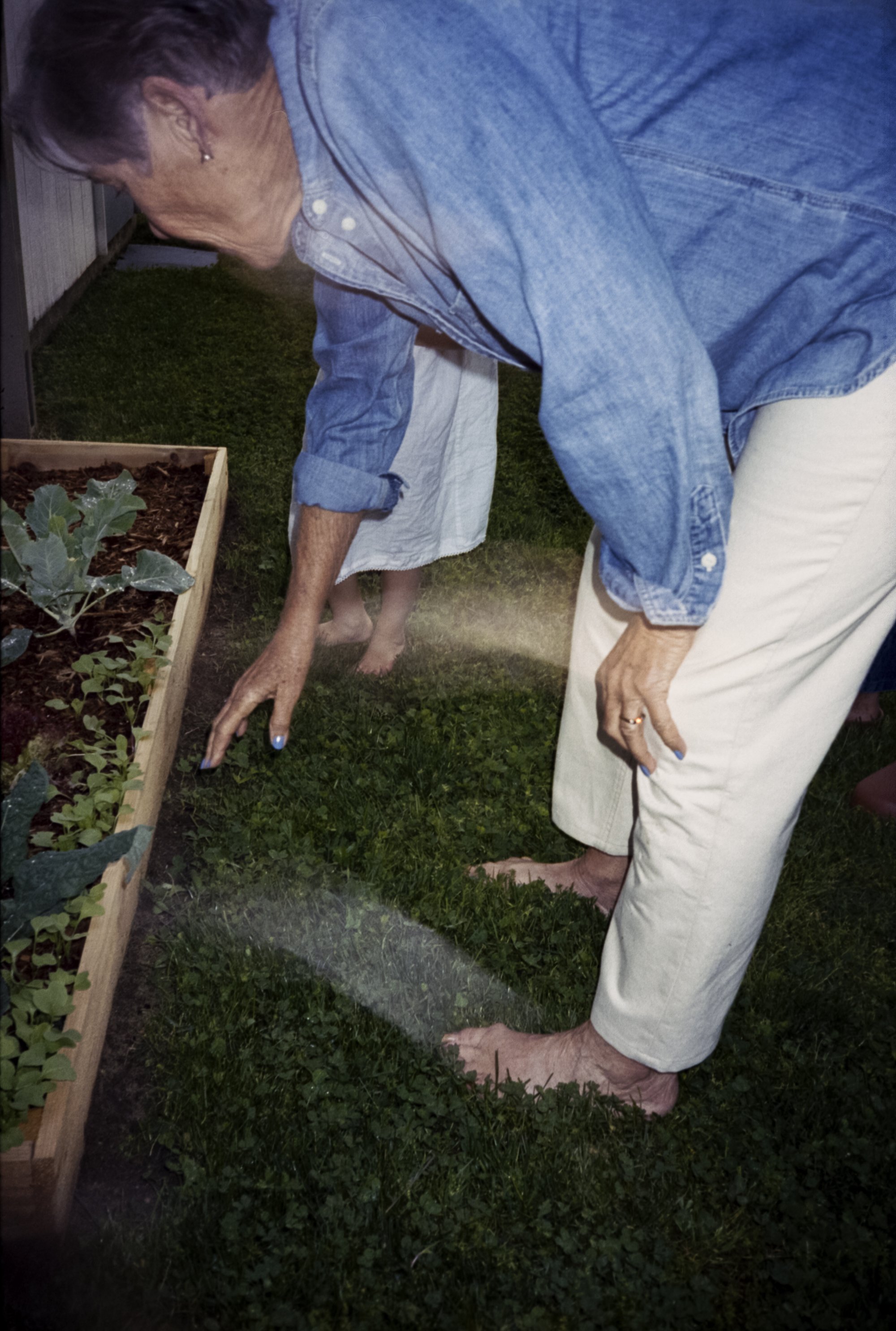 003_Garden_LRWEB.jpg