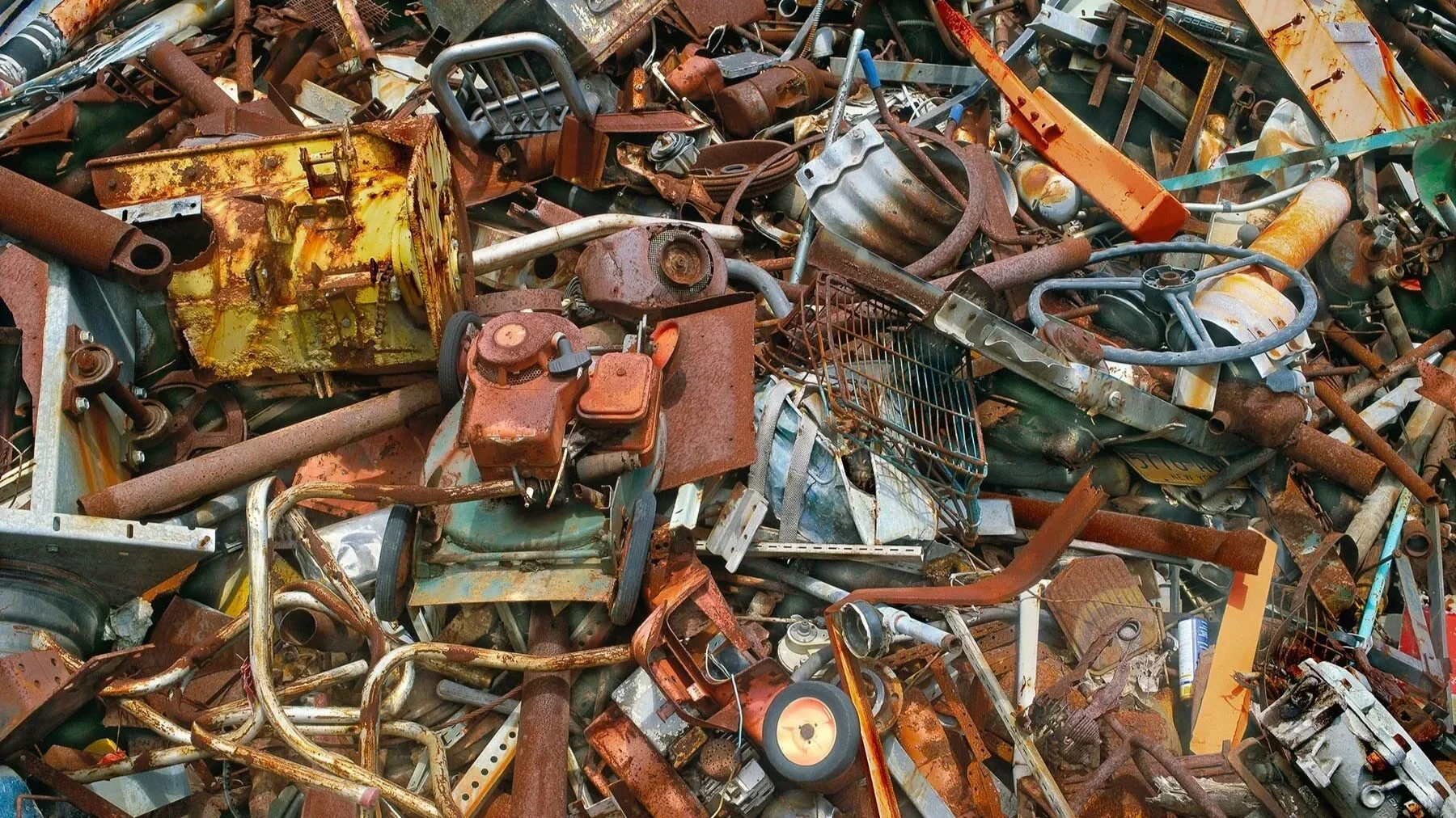 The Science Behind David Ricci’s Photographs: How Complexity Theory Shaped the Visual Language of His Photography