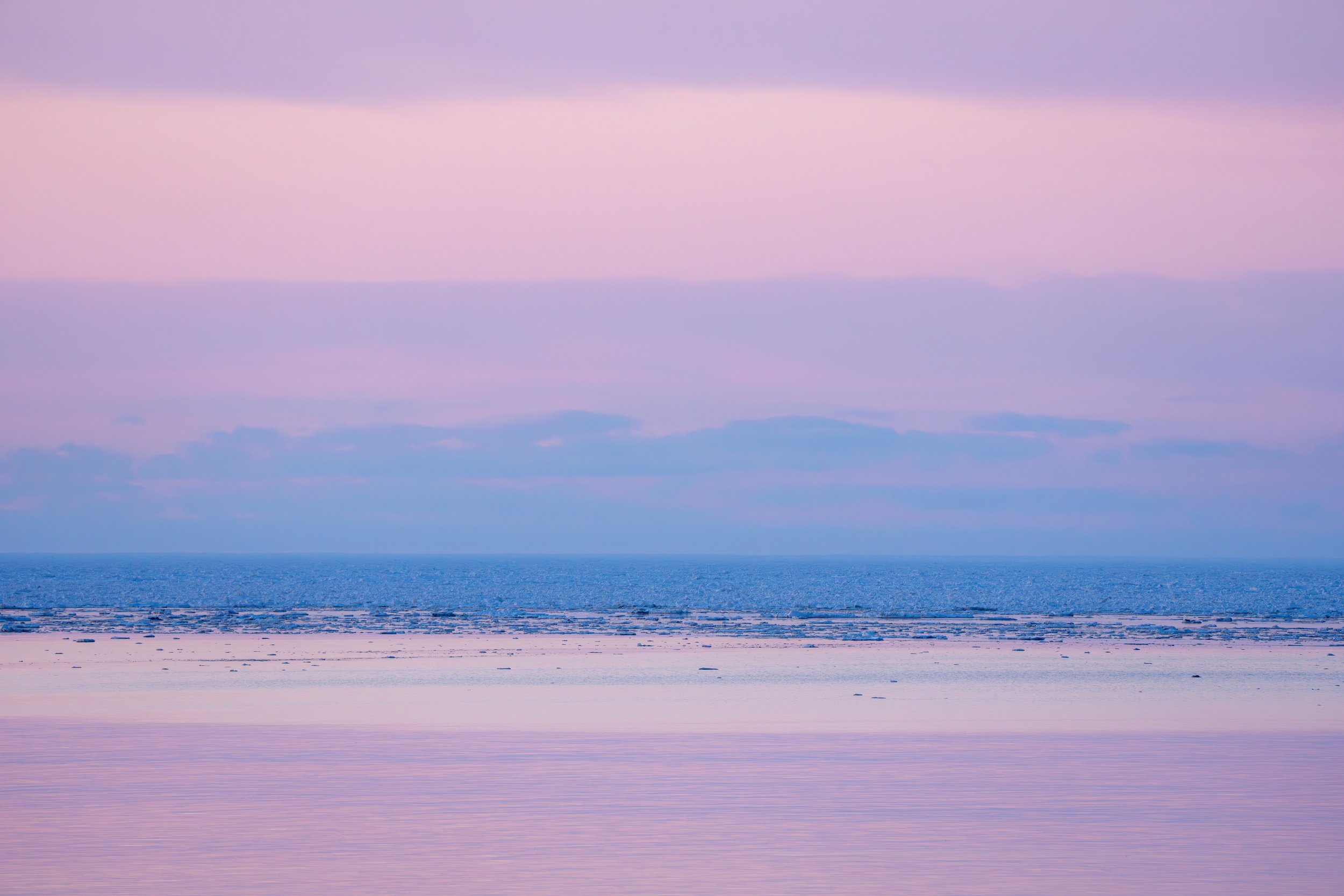 _Elizabeth_Sanjuan_Into the pink-1.jpeg